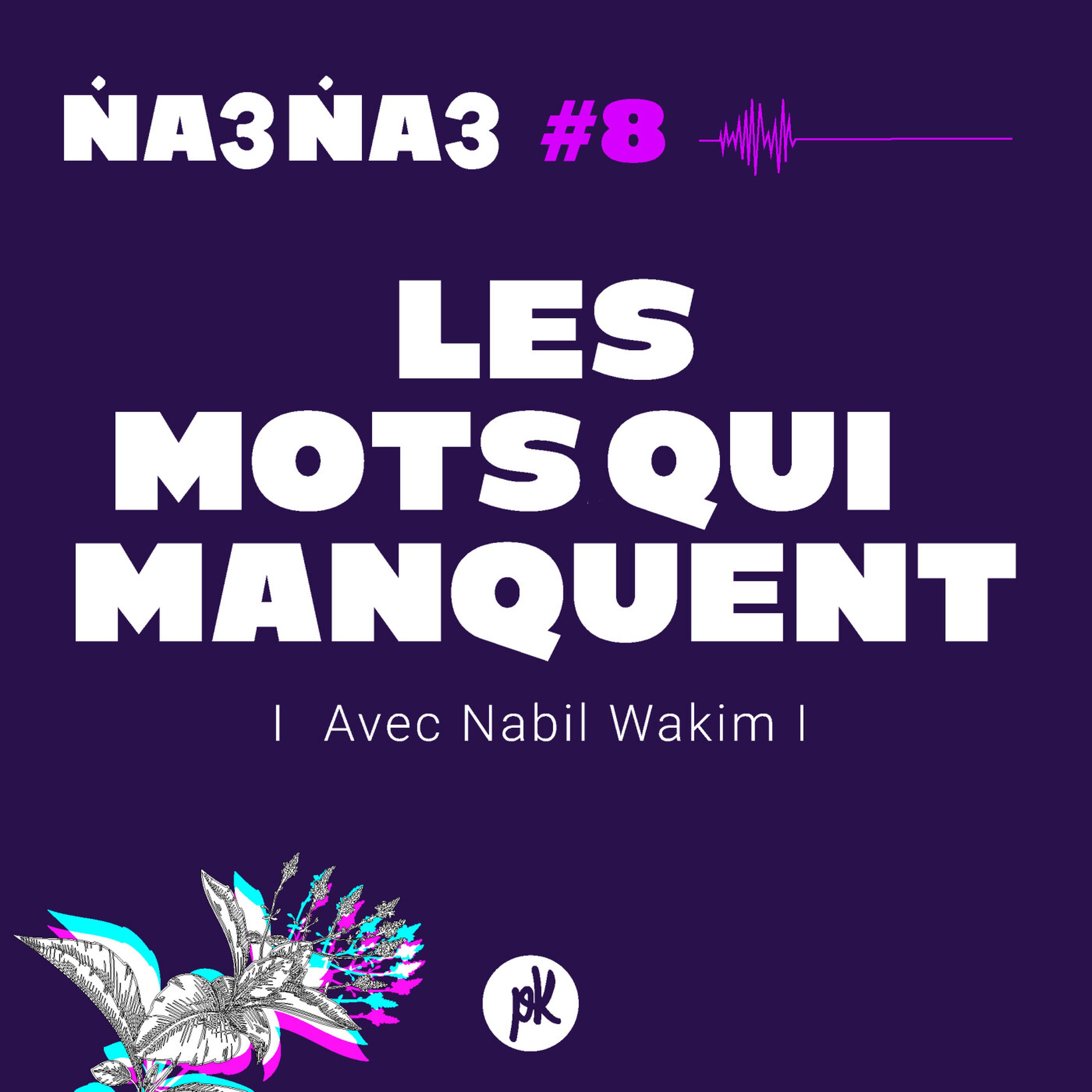 Na3na3 #8 - Les mots qui manquent (avec Nabil Wakim)