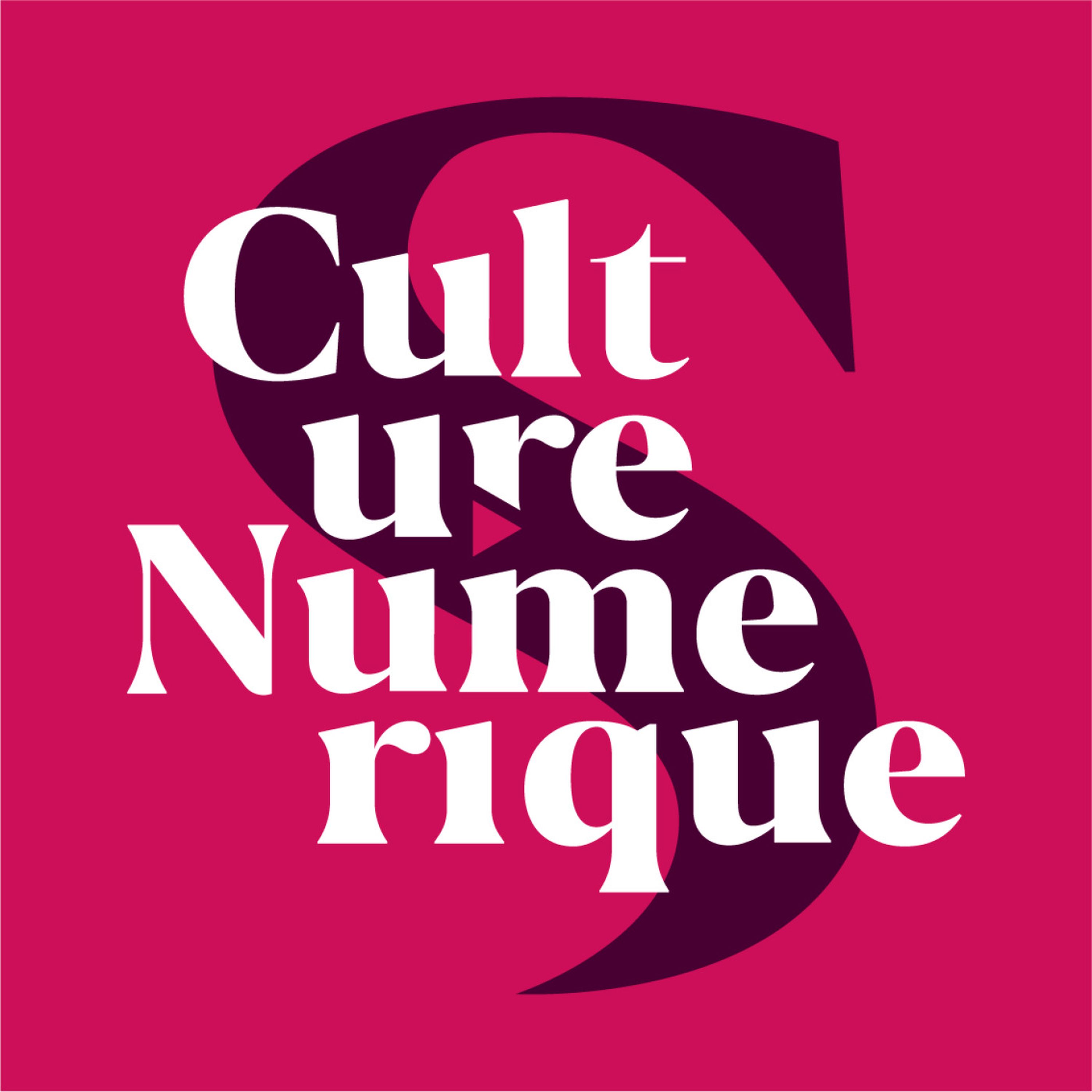 Culture Numérique