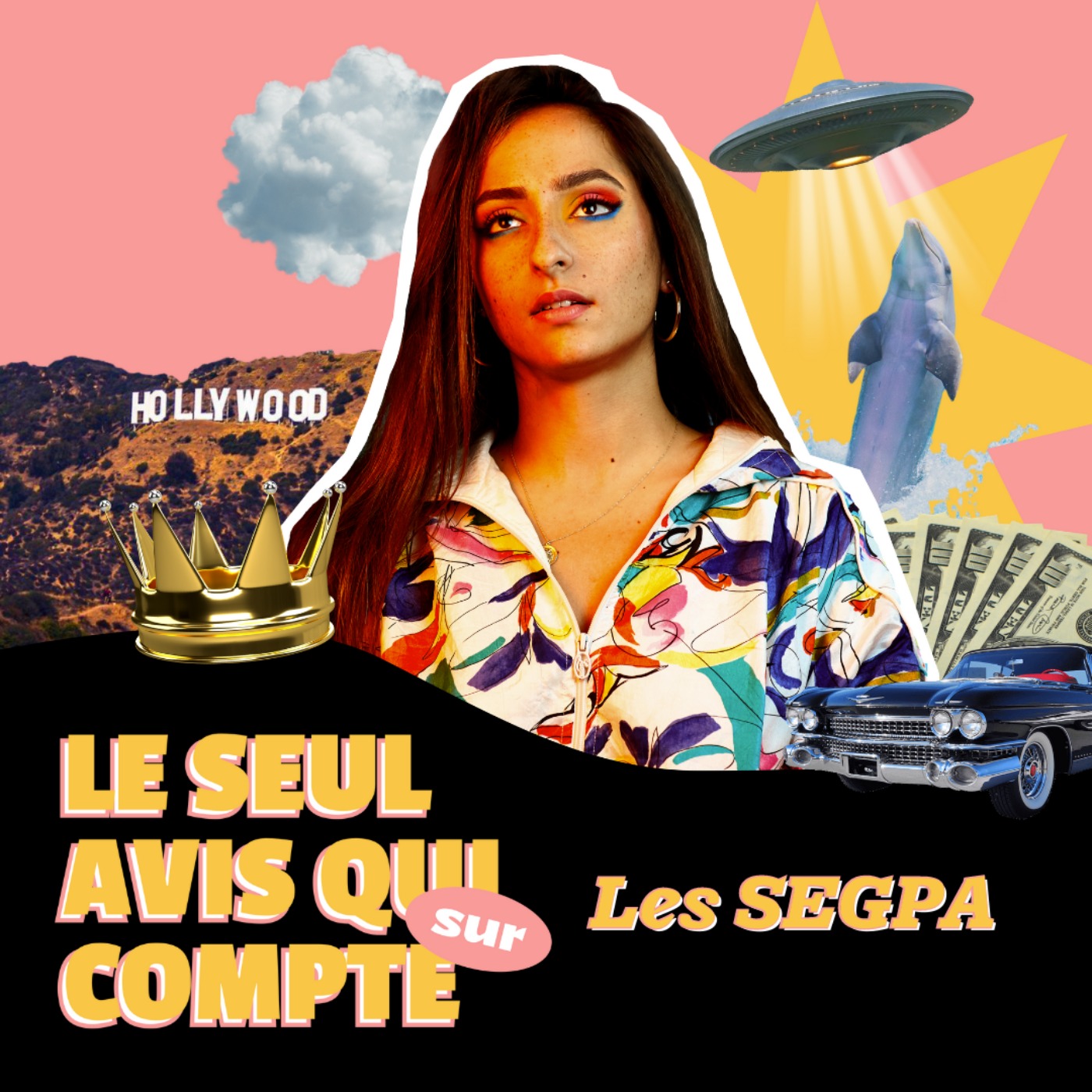 Le seul avis qui compte sur « Les SEGPA »