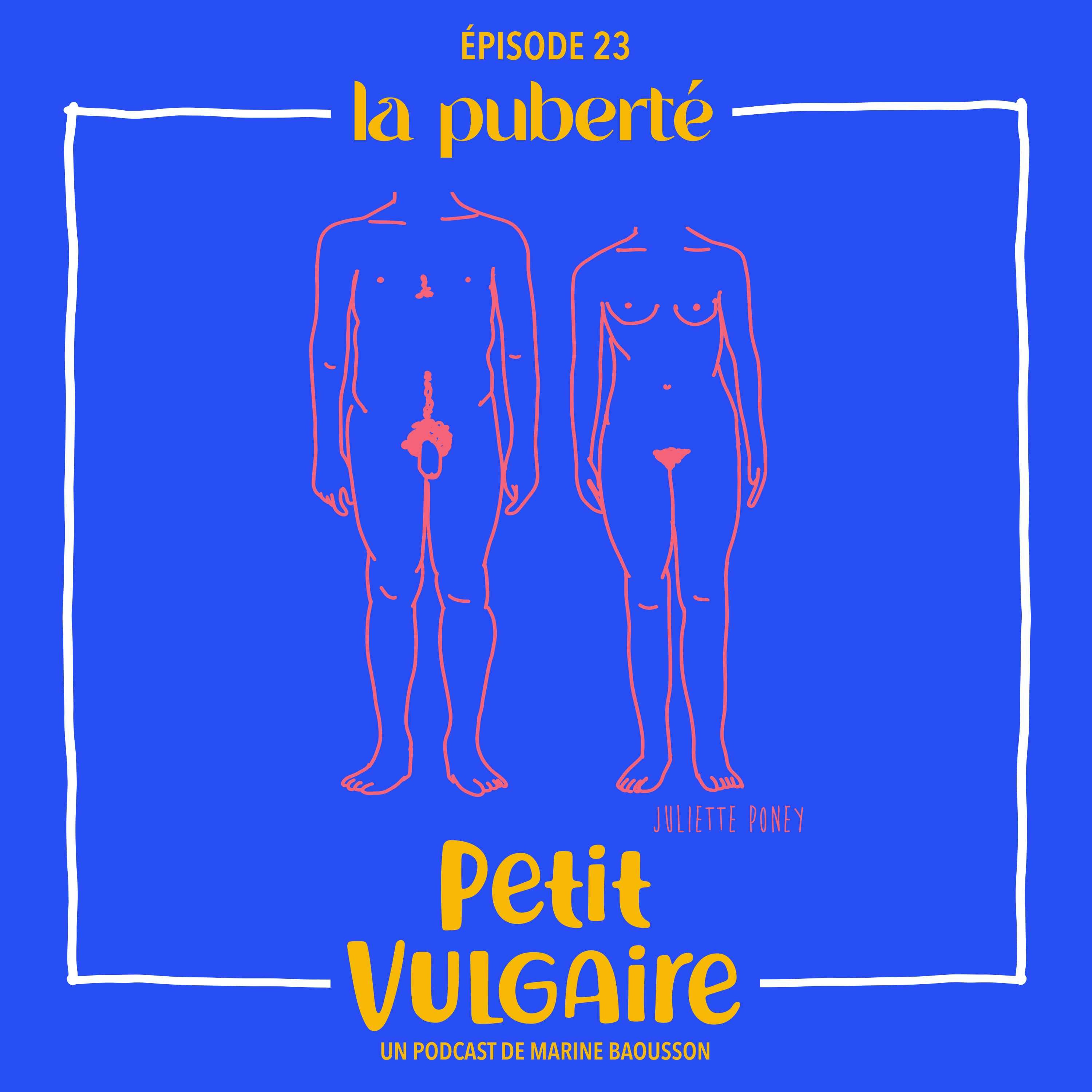 cover art for Petit Vulgaire : LA PUBERTÉ