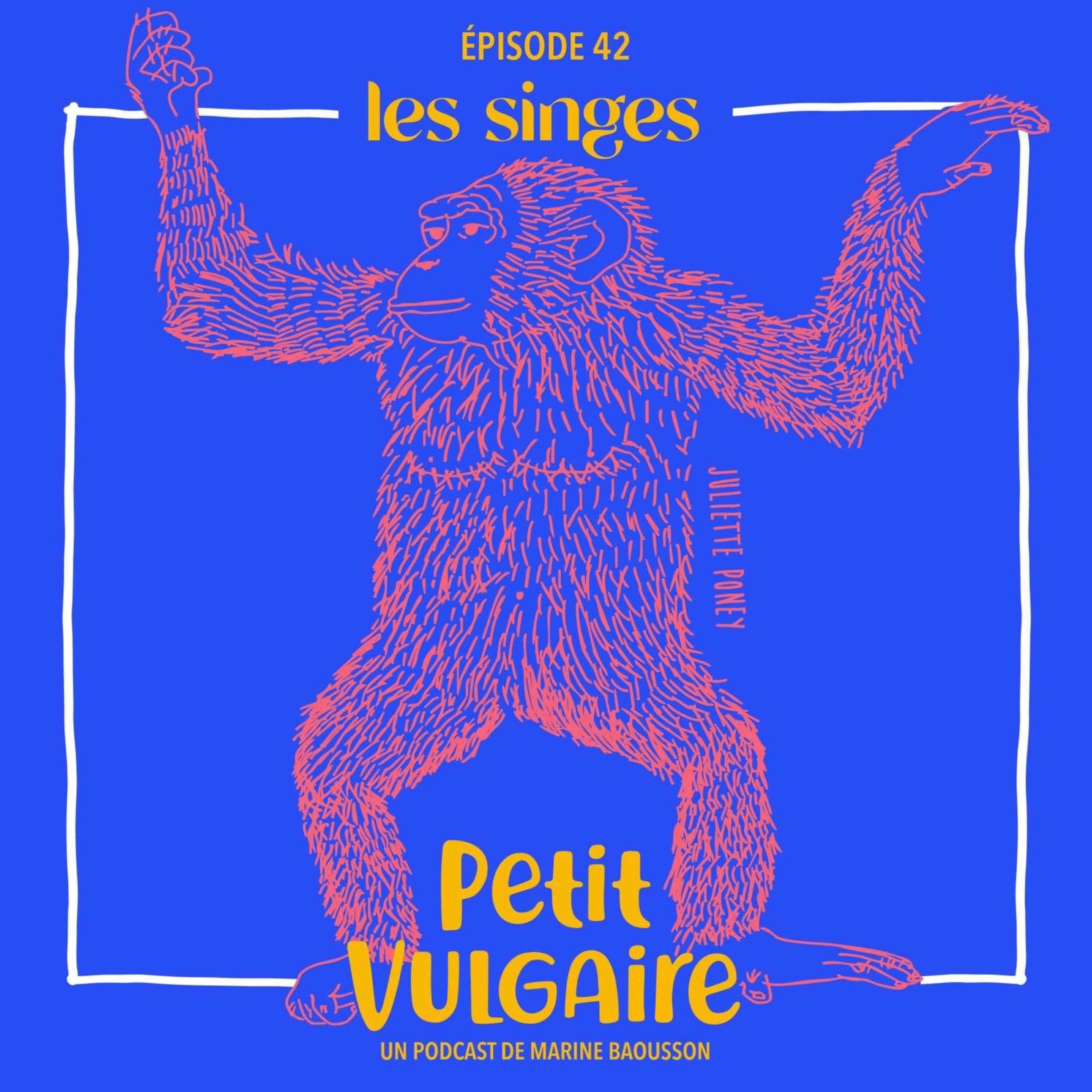 Petit Vulgaire : LES SINGES - podcast episode cover