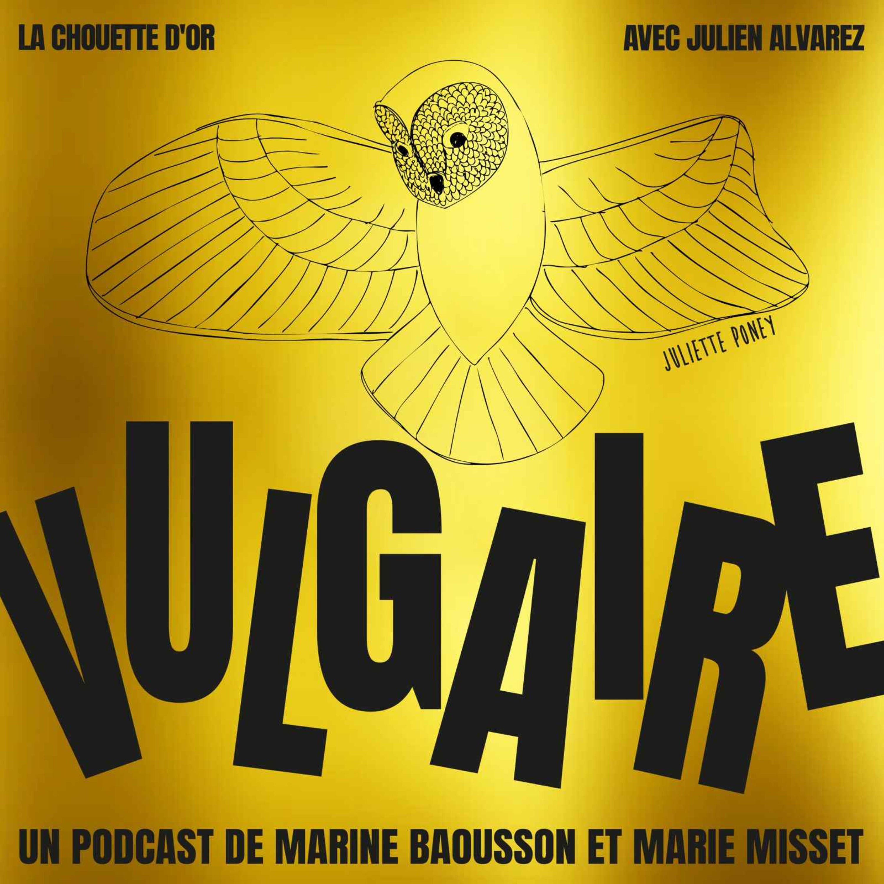 LA CHOUETTE D'OR, LITIGES ET BLANCHE NEIGE - podcast episode cover