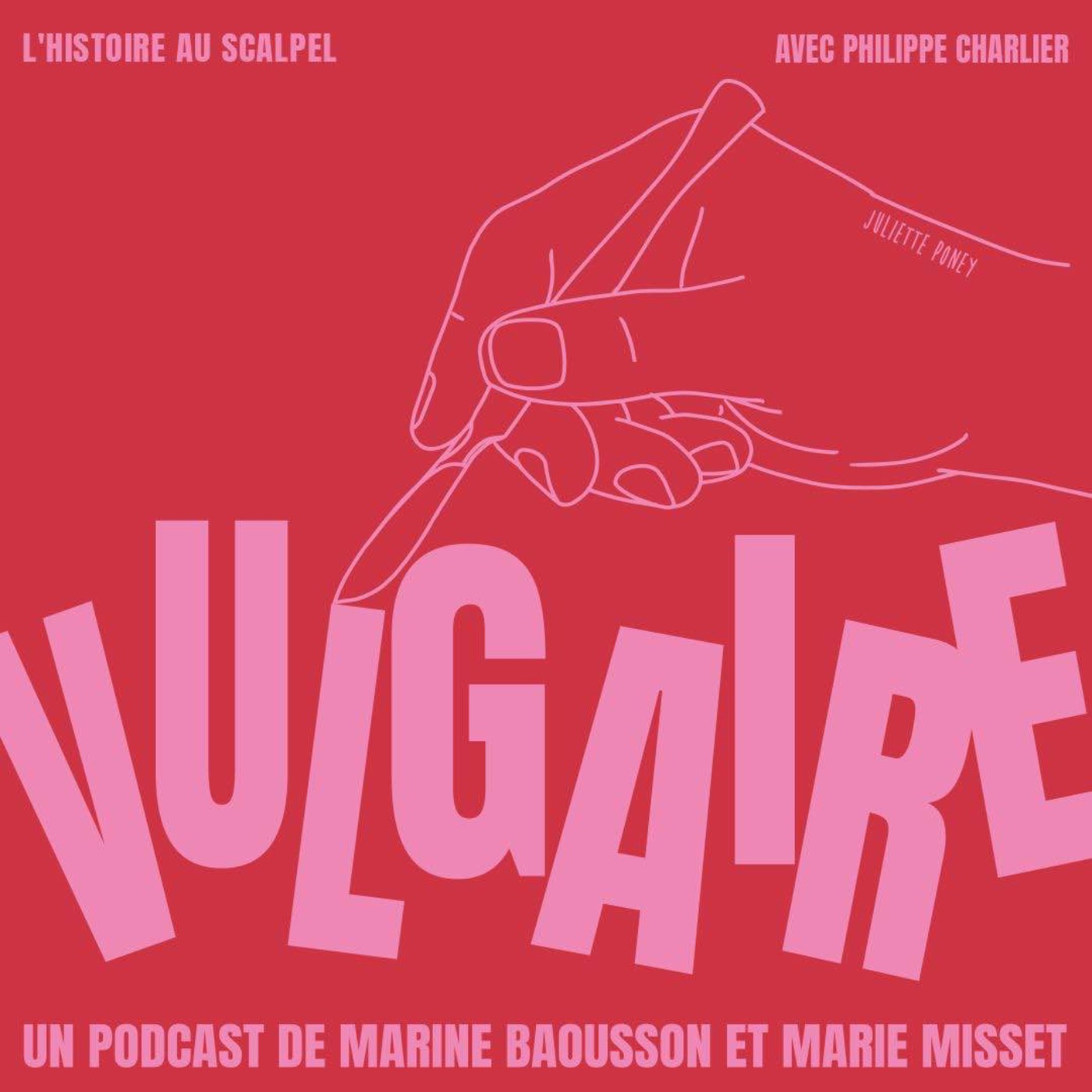 L'HISTOIRE AU SCALPEL