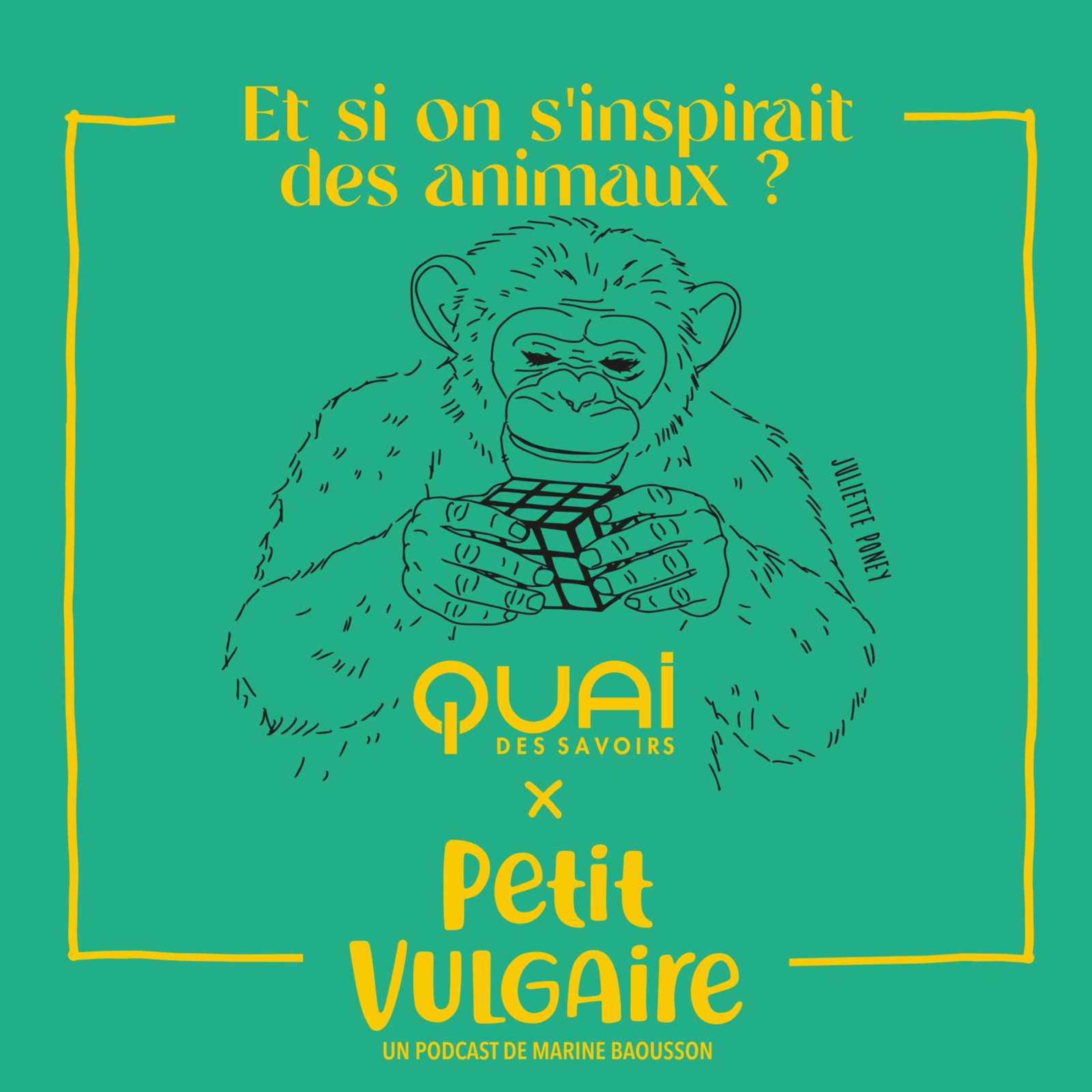 Vulgaire - ET SI ON S'INSPIRAIT DES ANIMAUX