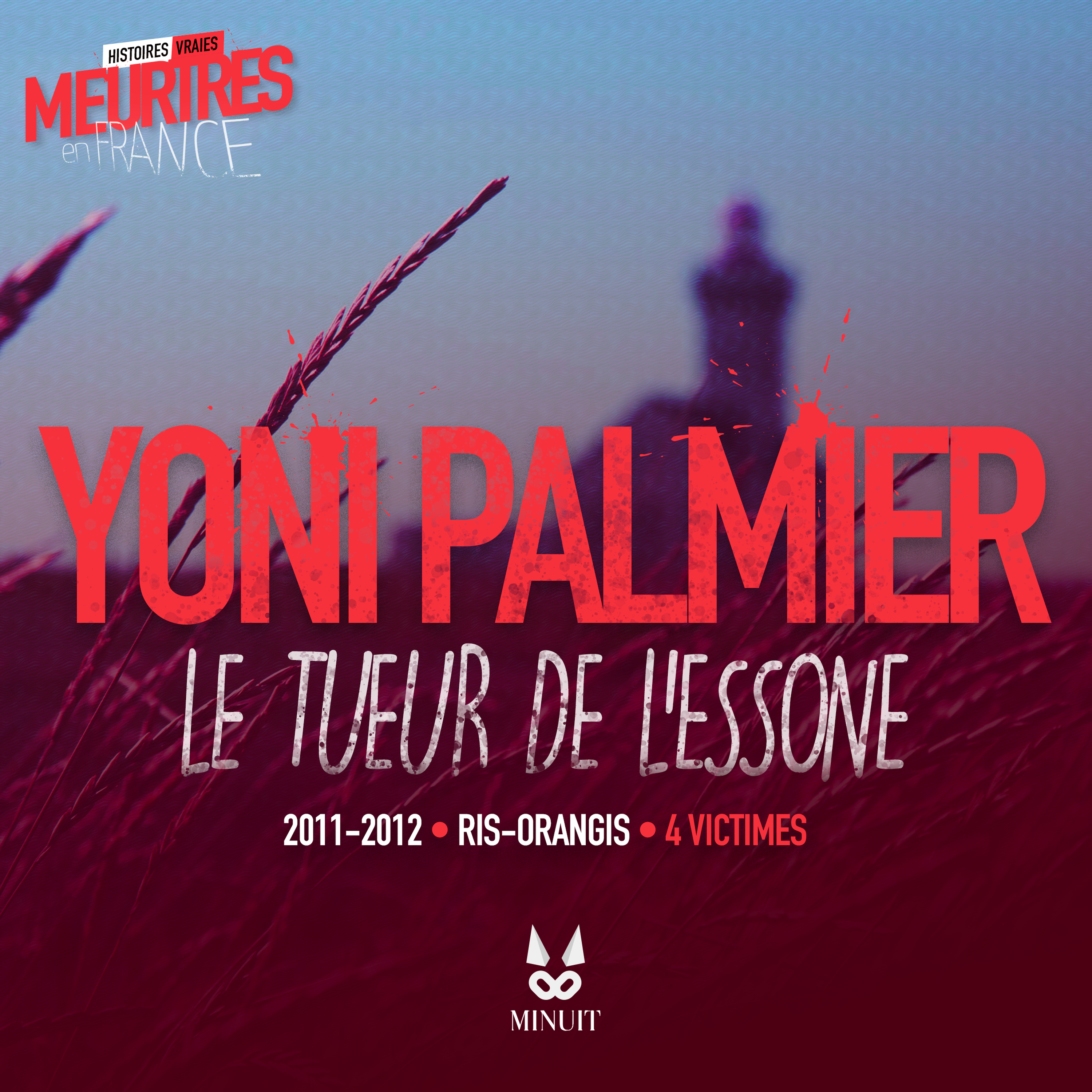 Yoni Palmier - Le Tueur de l'Essonne