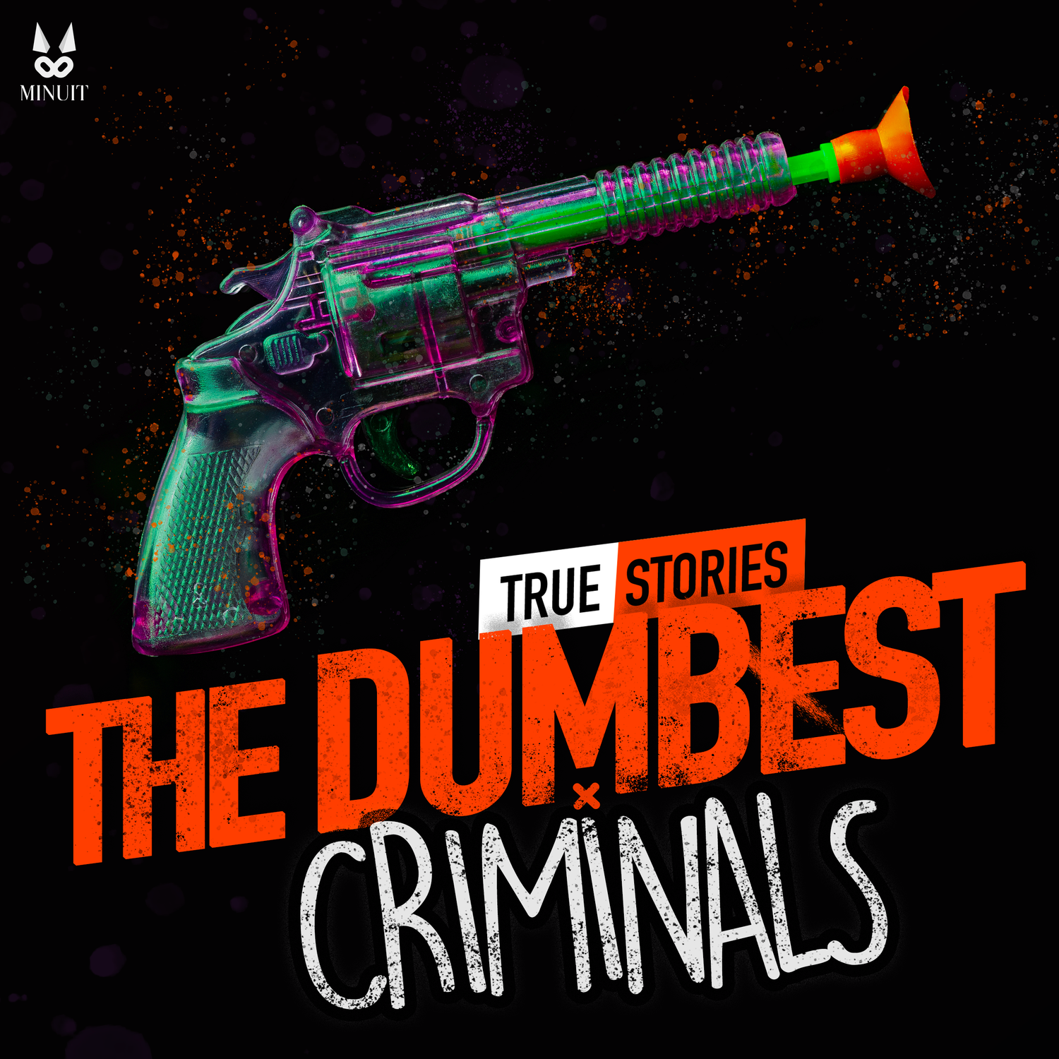 The Dumbest Criminals – True Stories