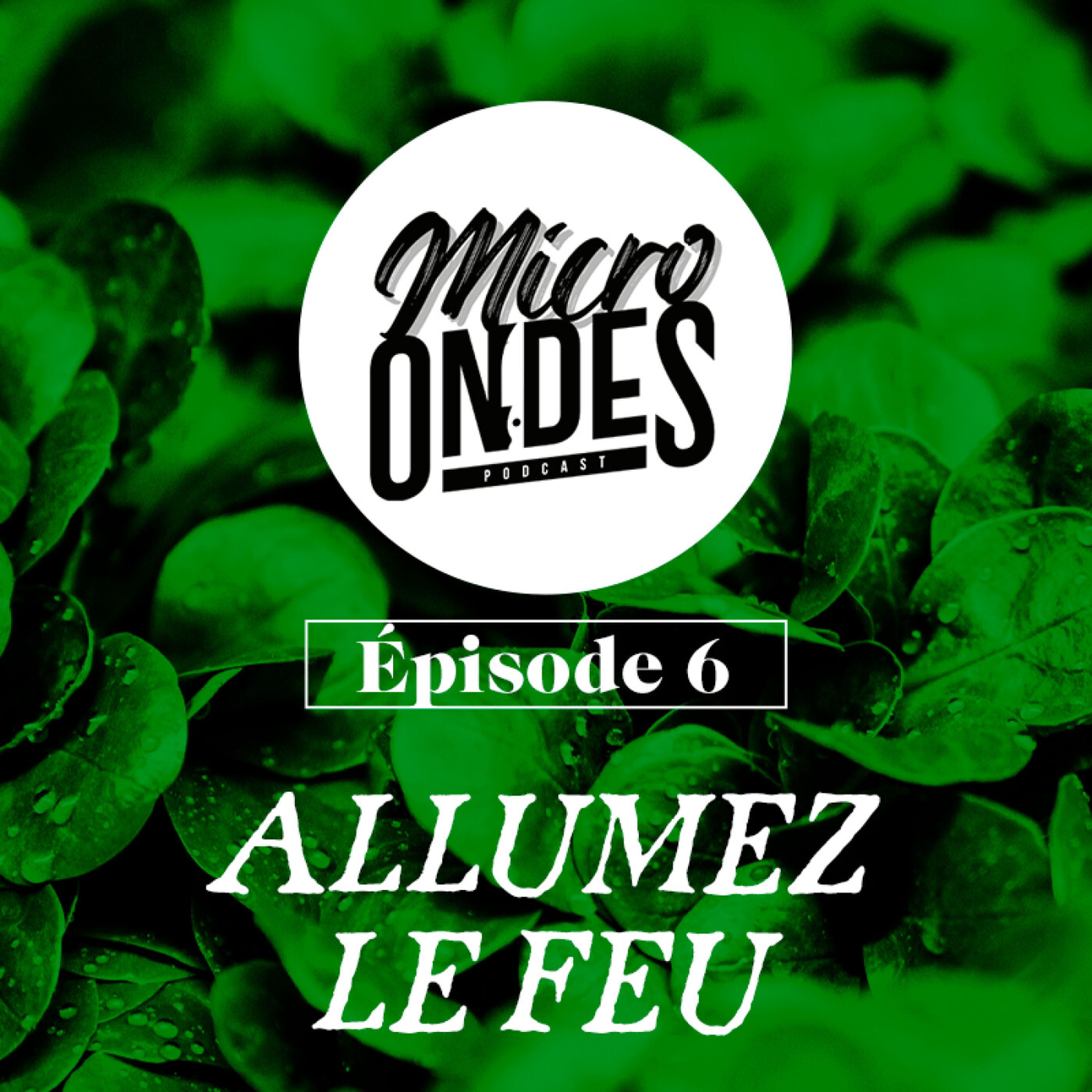 Micro Ondes Podcast