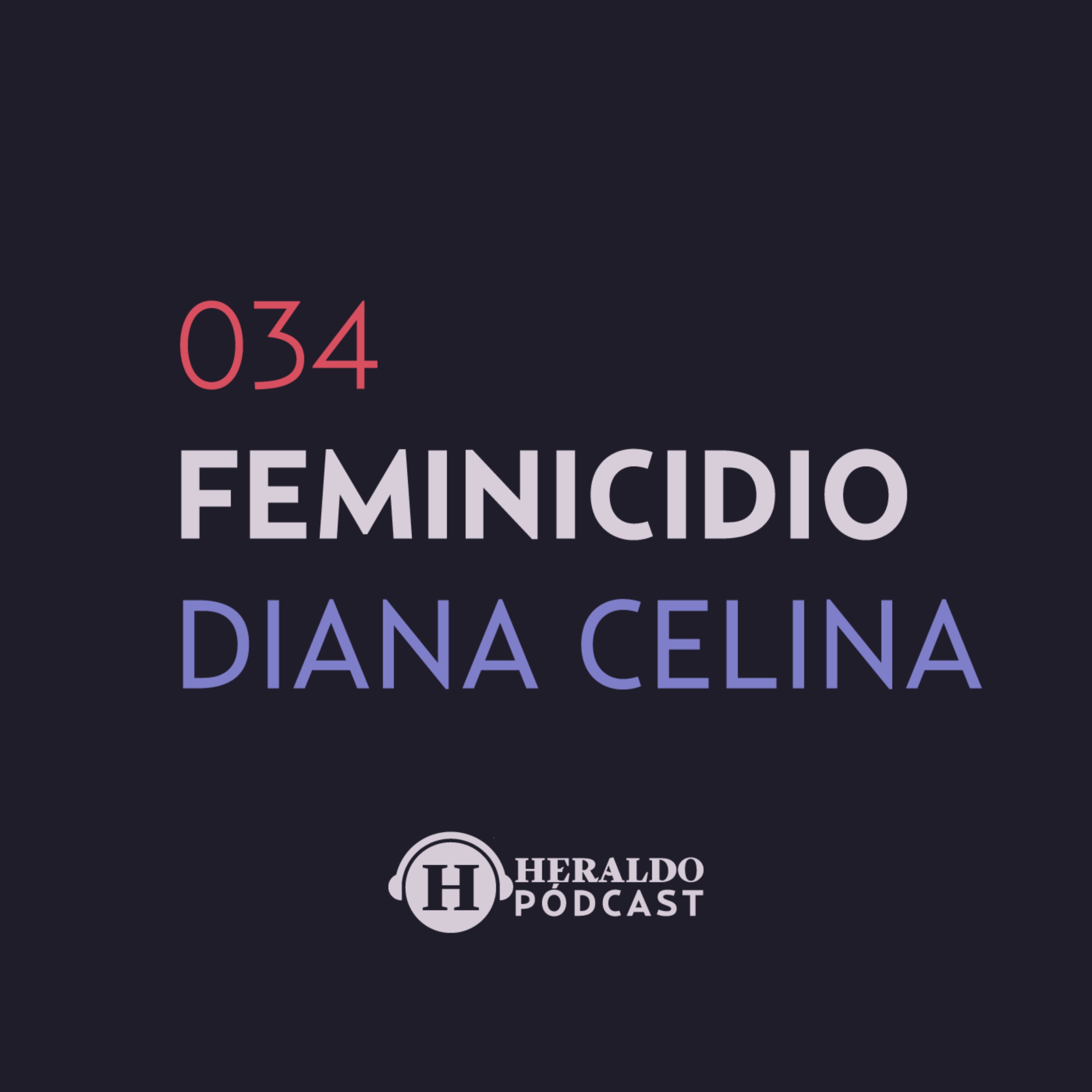 34. Feminicidio de Diana Celina González | Que Nadie Nos Olvide