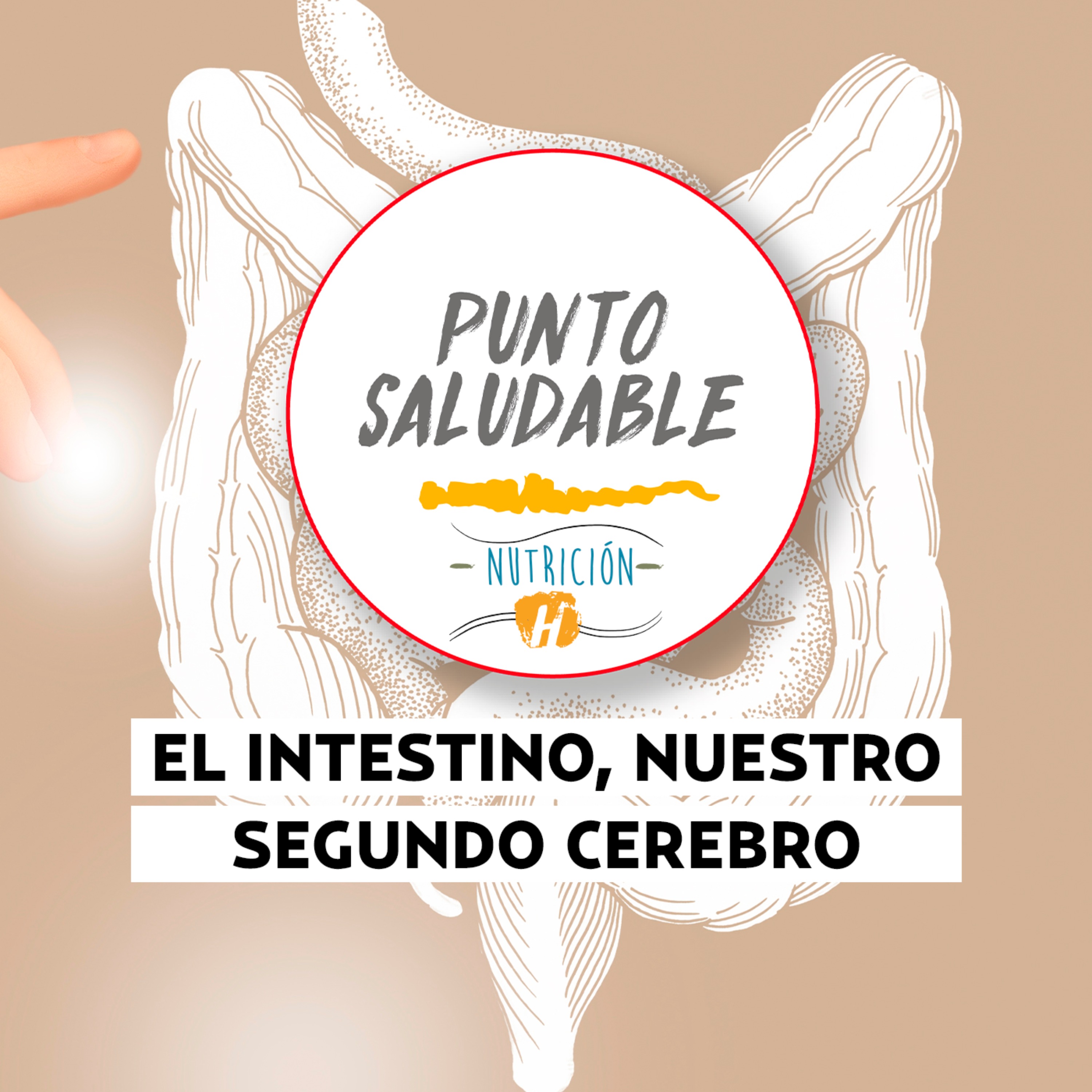 El intestino, nuestro segundo cerebro | Punto Saludable: Cómo se relaciona con tu estado de ánimo y salud