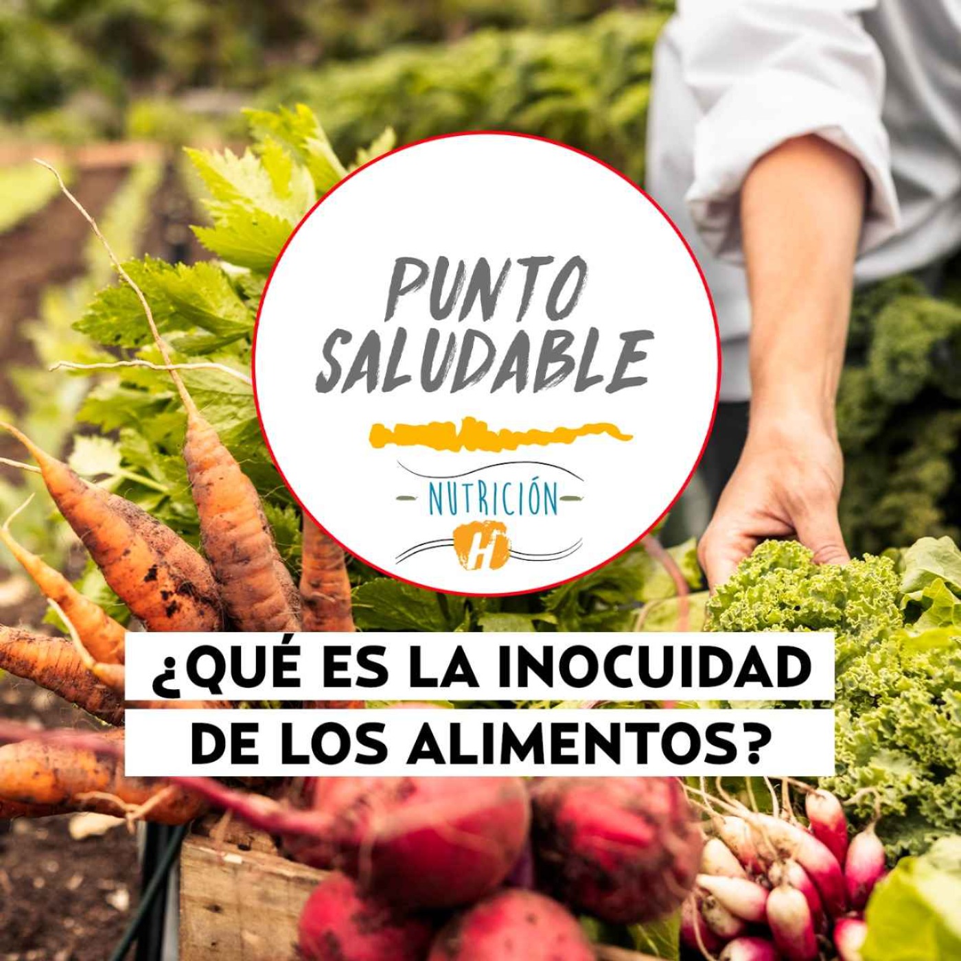 Seguridad alimentaria | Punto Saludable: Importancia de la inocuidad de los alimentos