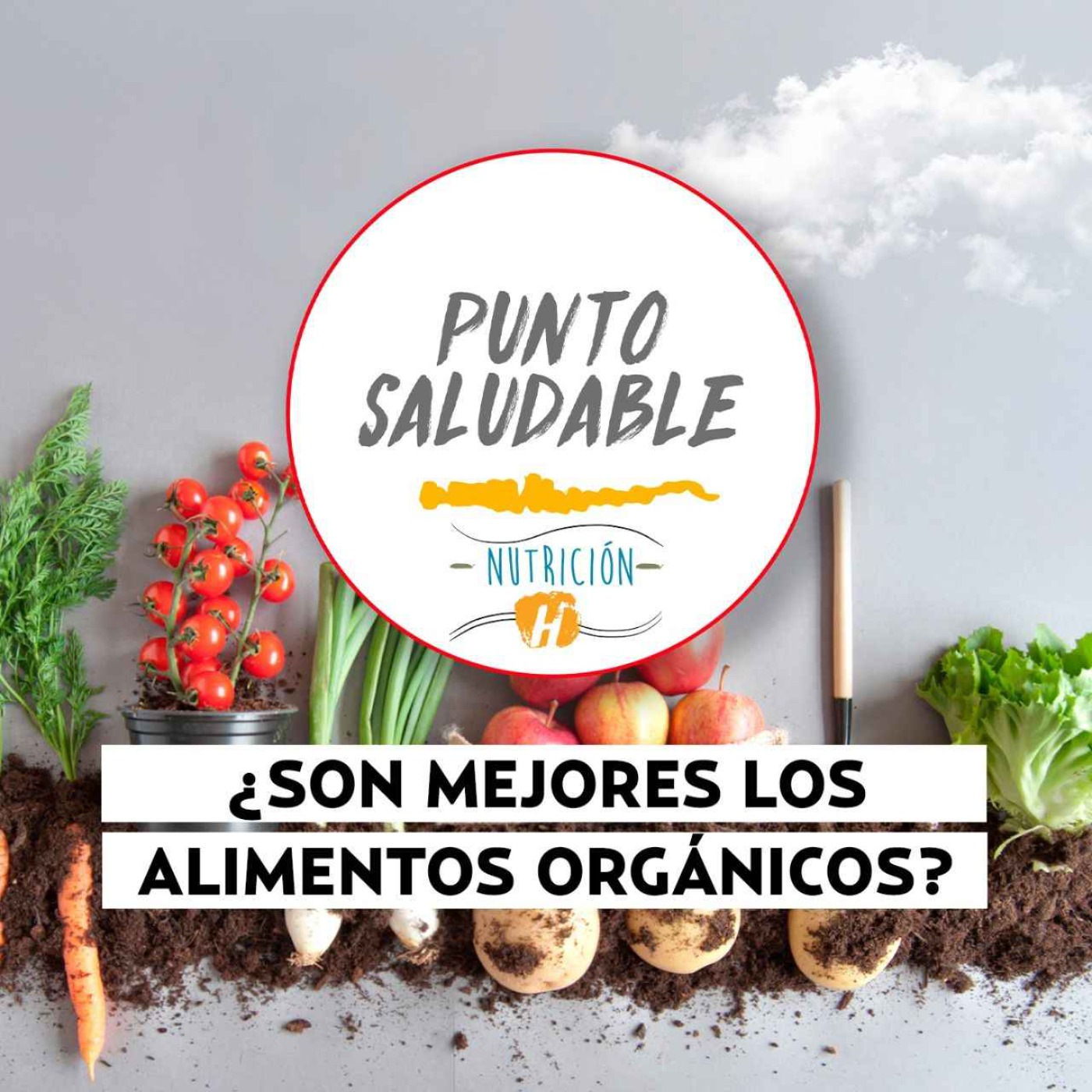 Alimentos orgánicos | Punto Saludable: ¿Realmente son mejores y más nutritivos?