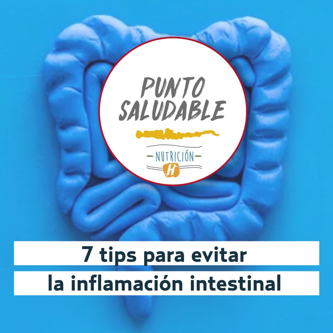 Flora Intestintal | Punto Saludable y 7 tips para evitar la inflamación