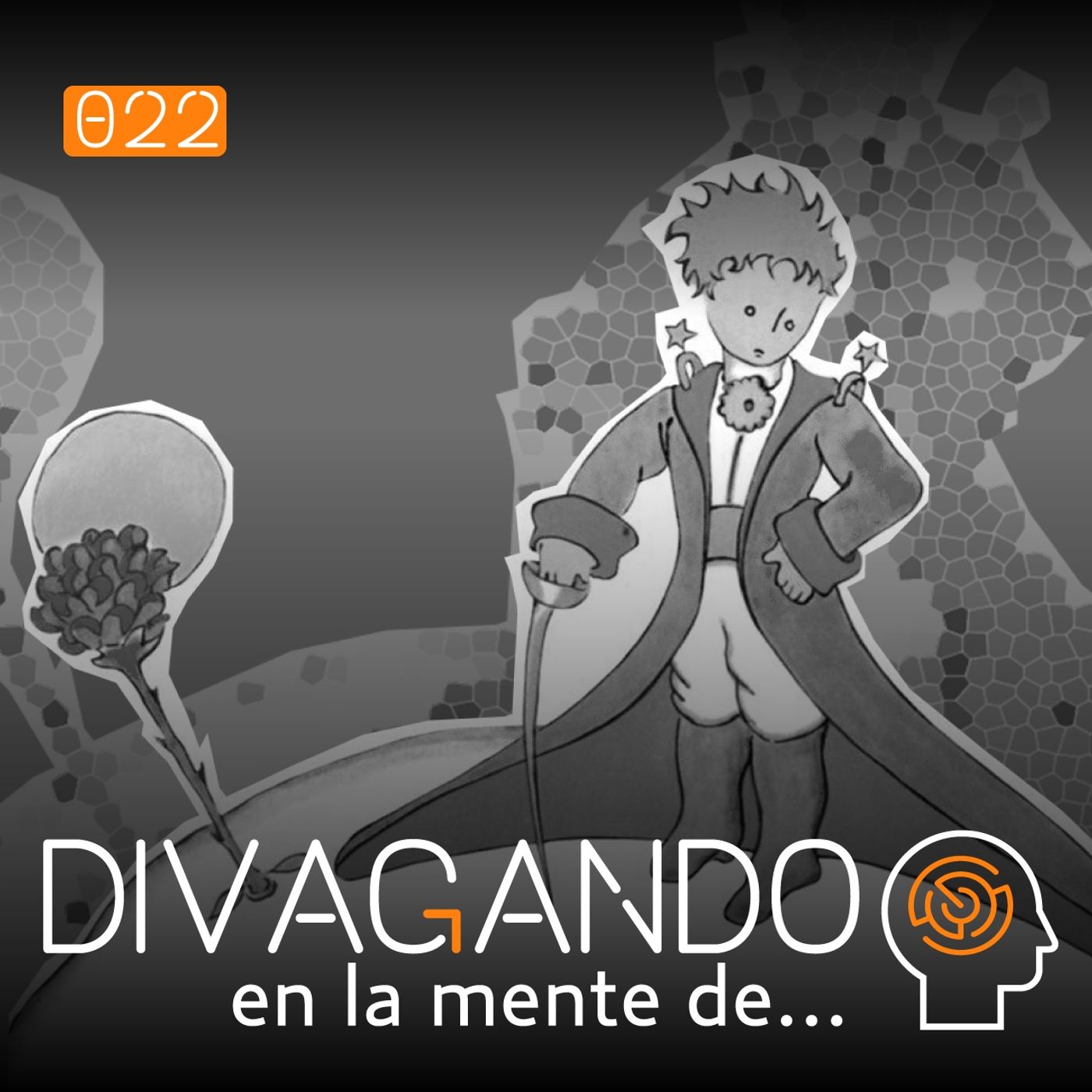 Divagando en la mente de...