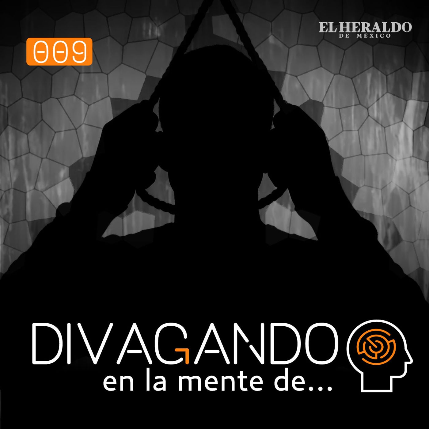 Divagando en la mente de...