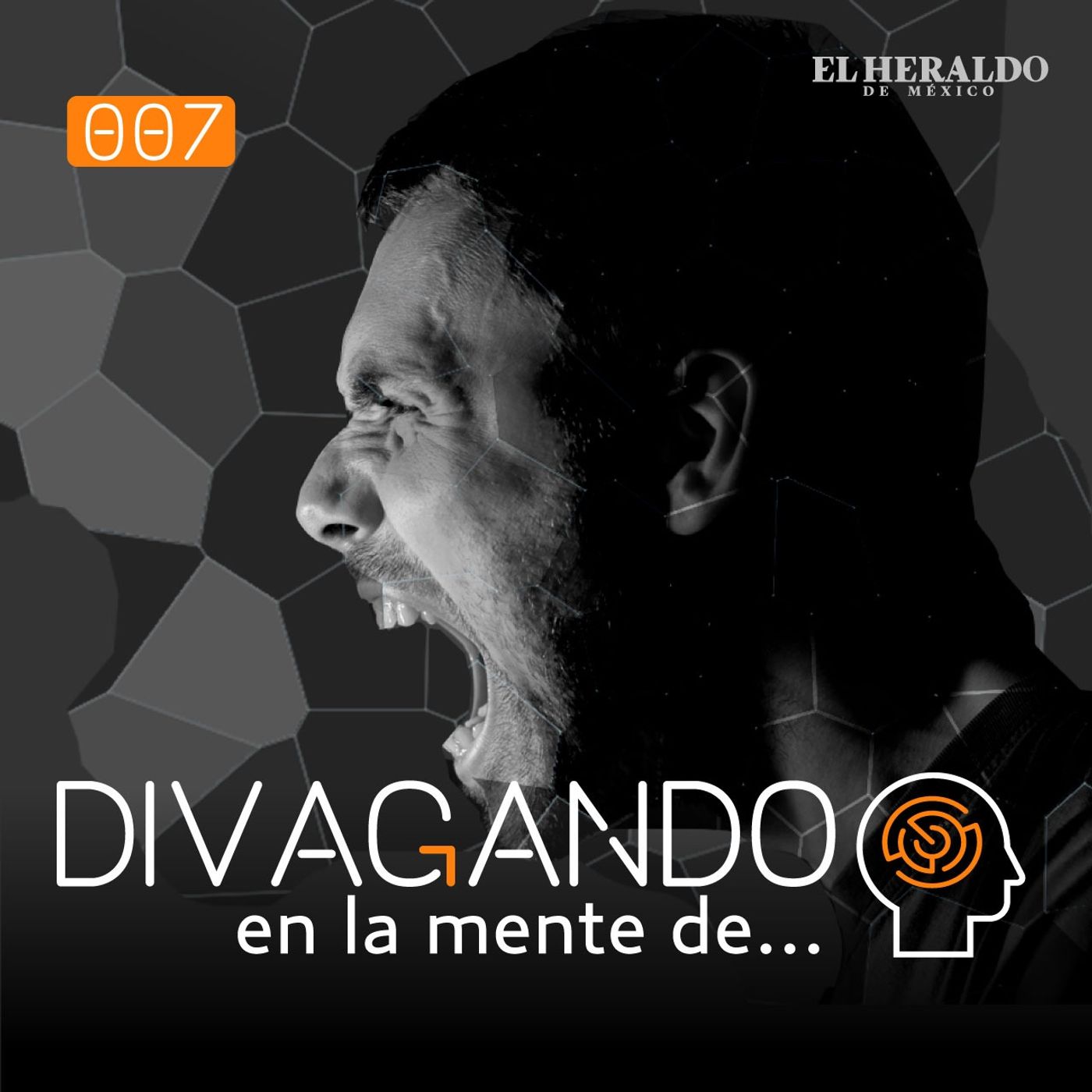 Divagando en la mente de...