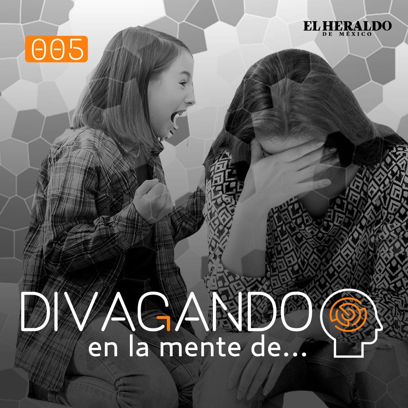 Divagando en la mente de...