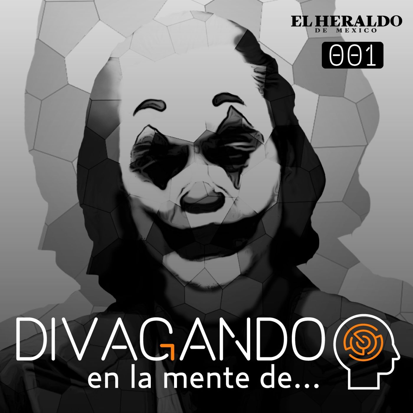 Divagando en la mente de...