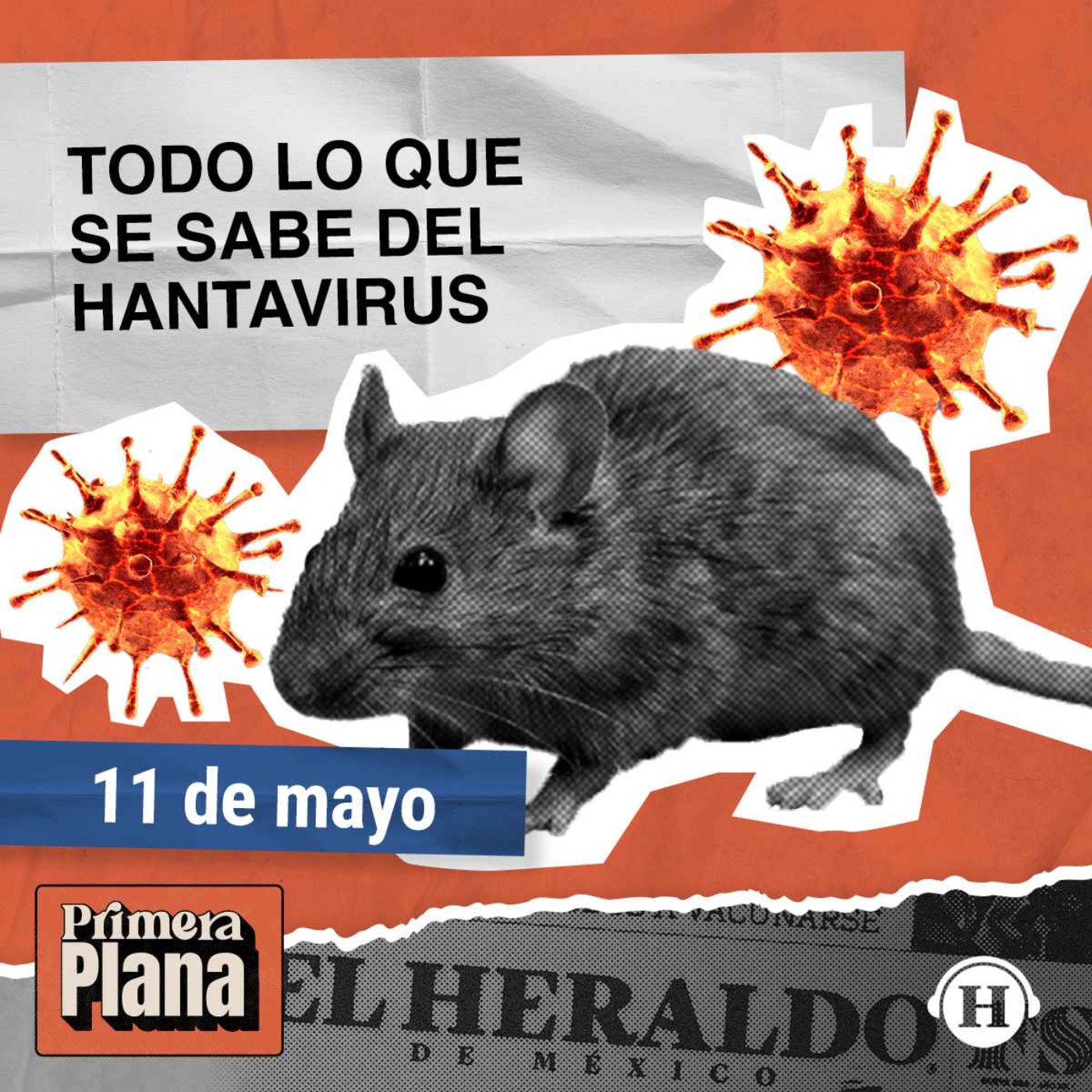Hantavirus: Autoridades mundiales aplican protocolos estrictos episode artwork