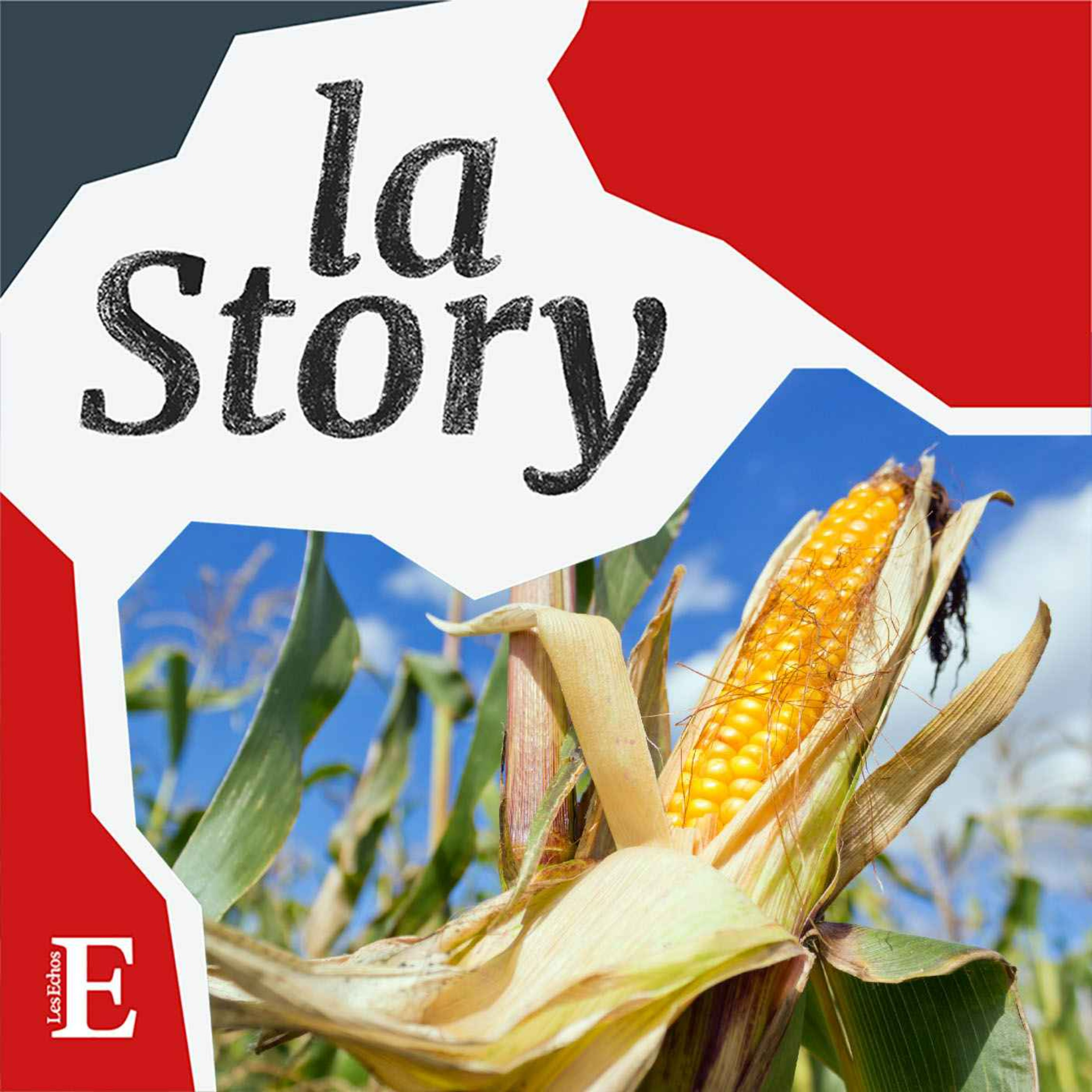 cover art for Agriculture : le maïs n’a plus le vent en poupe