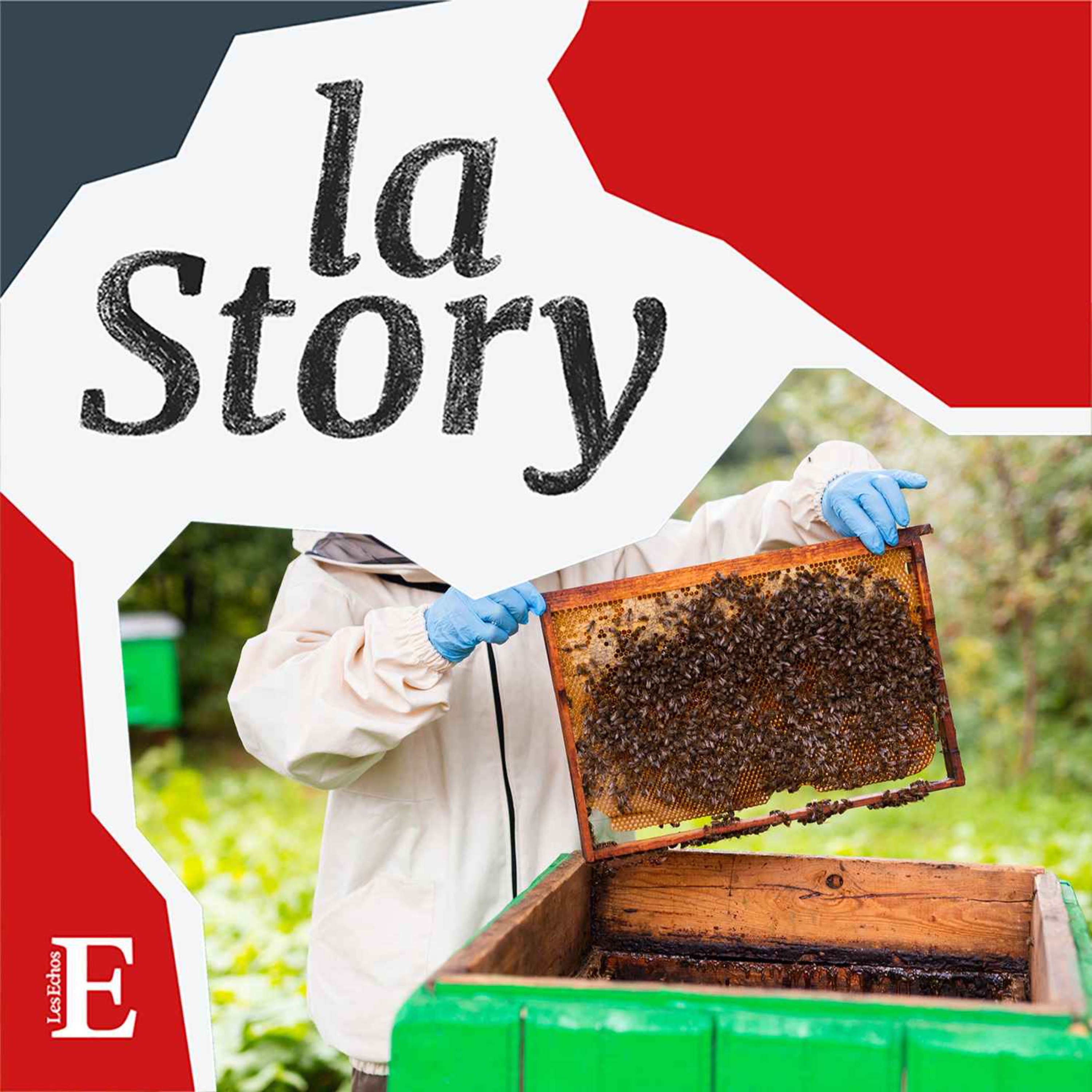 cover art for Agriculture : la bataille du miel