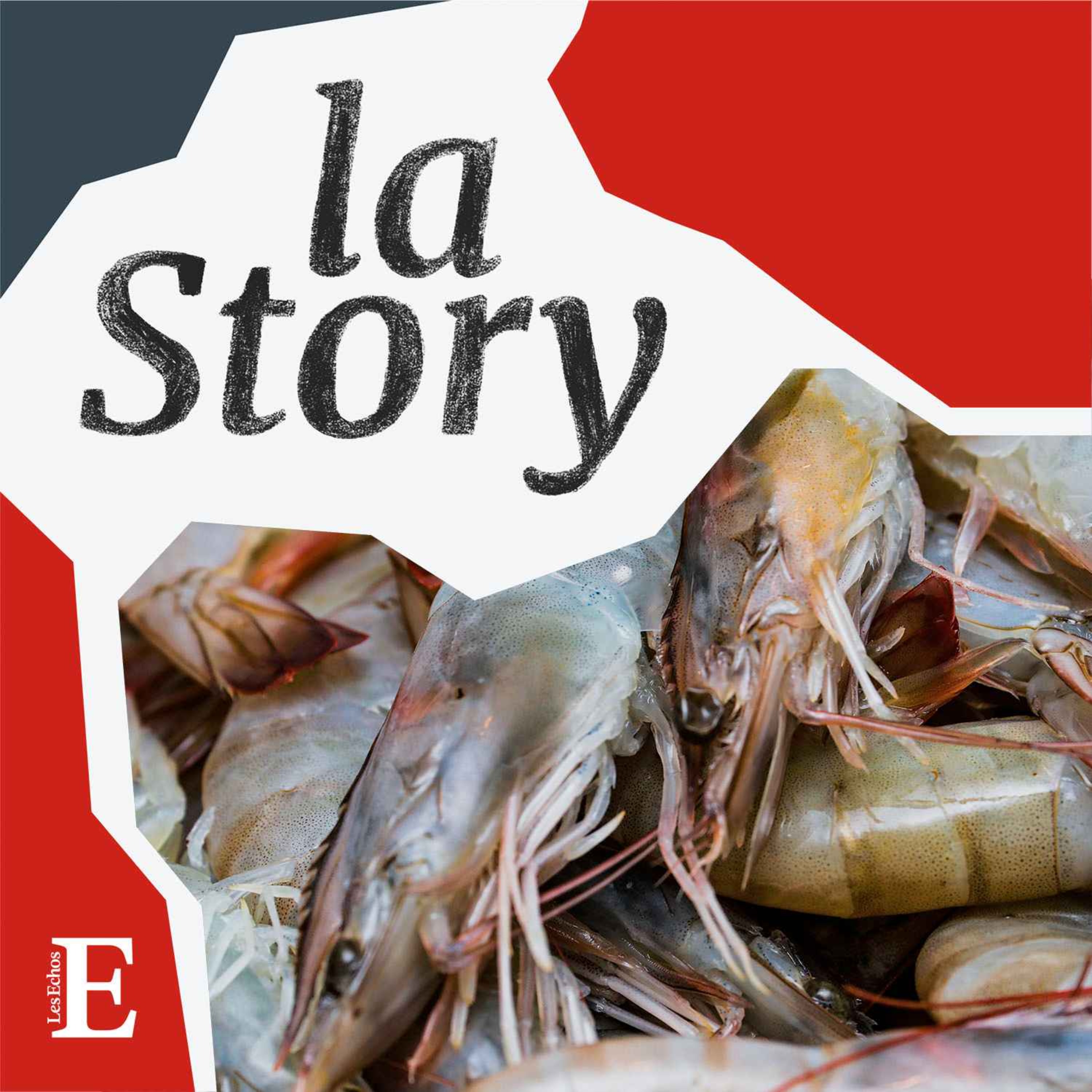 Dans les abysses des mafias de la pêche illégale - 3/6
