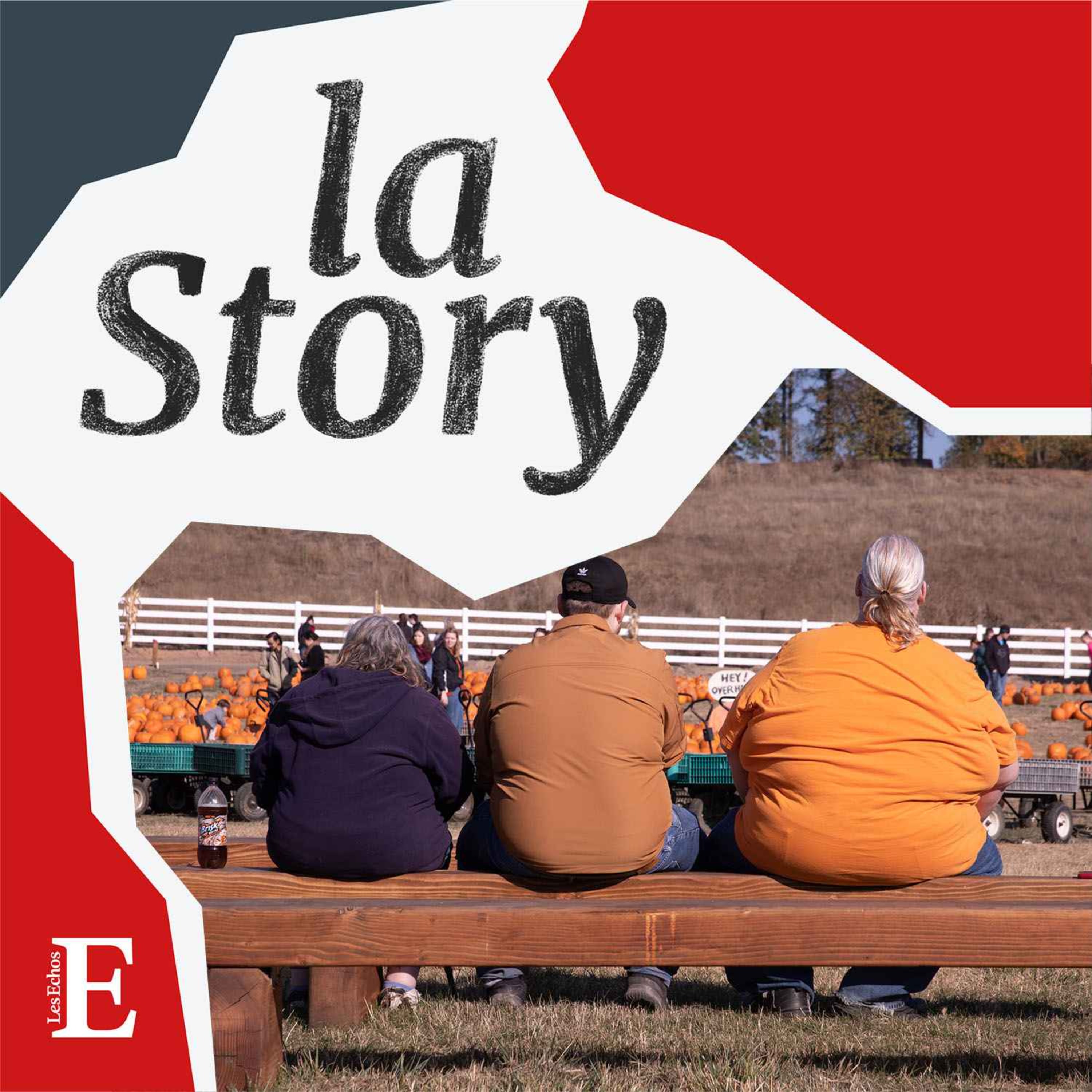 Novo Nordisk, la pilule du coupe-faim Wegovy ne passe plus en Bourse