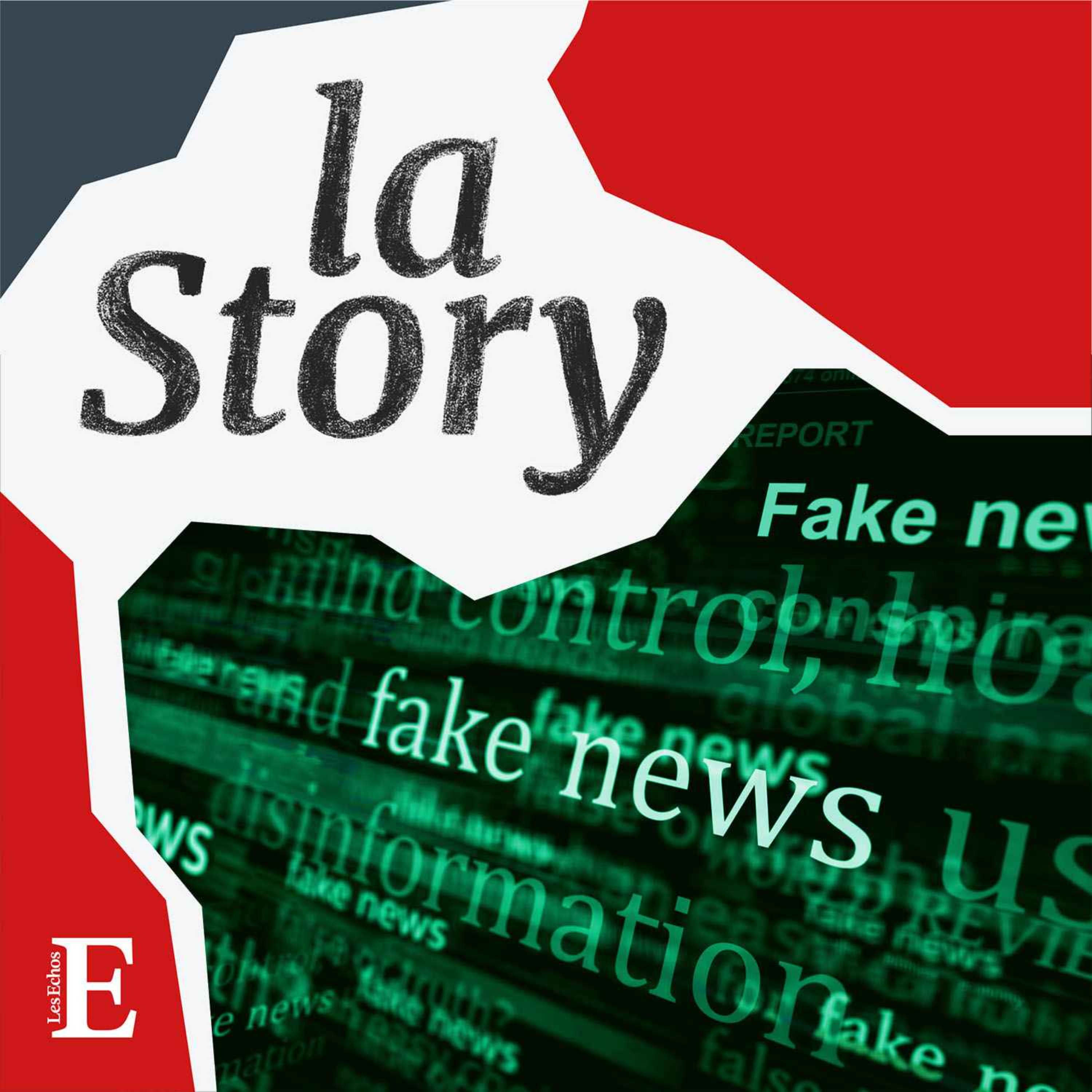La Story - Municipales : comment contrer les campagnes de fake news