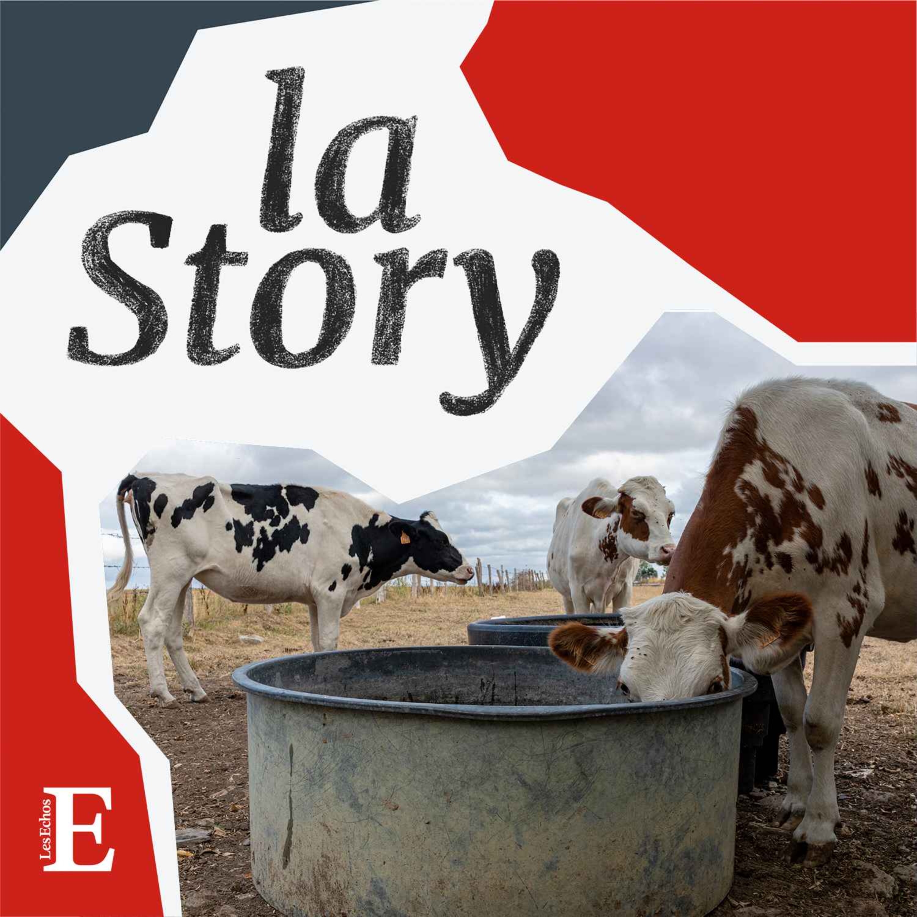 La Story - Les agriculteurs face à la sécheresse (1/2) : mesurer les dégâts