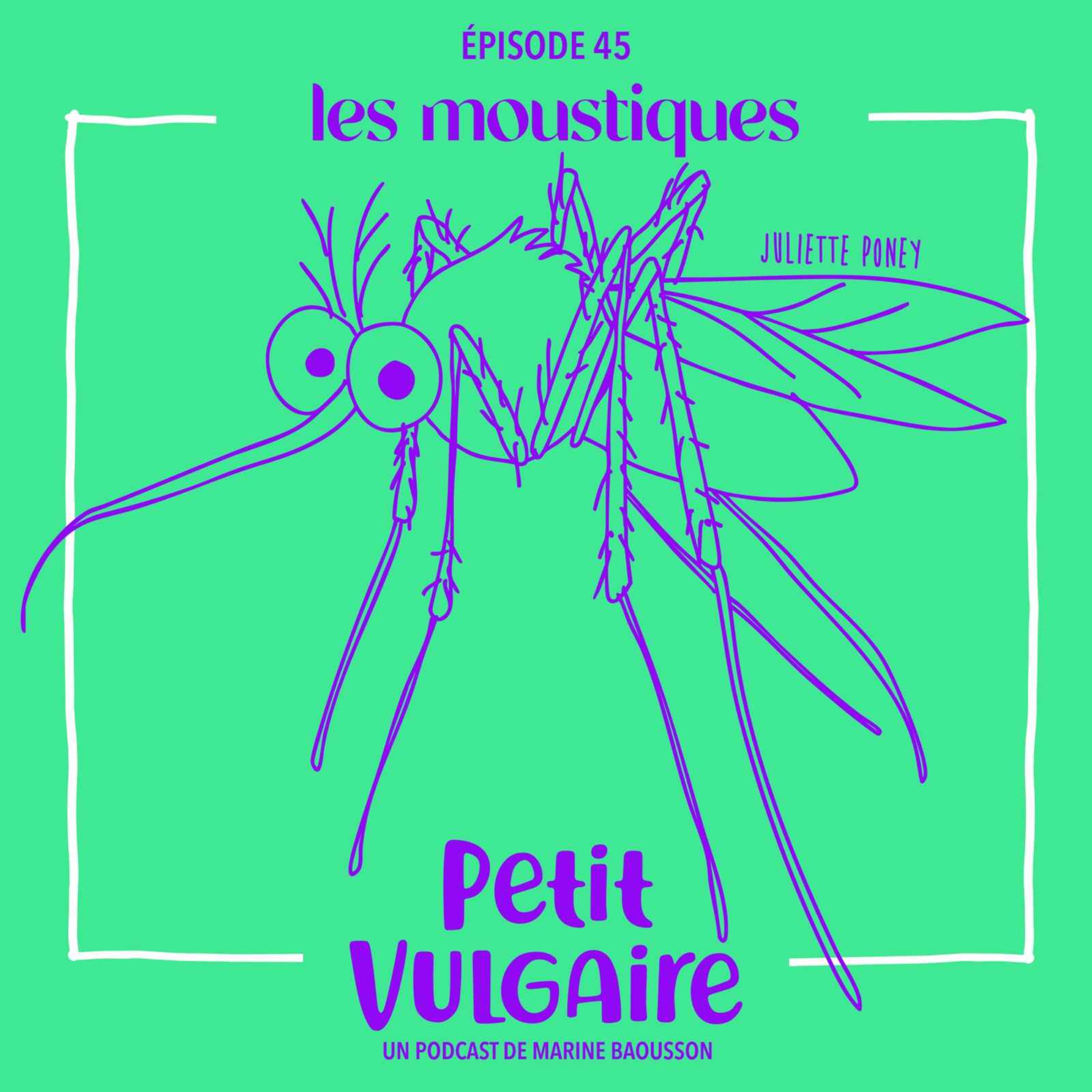 LES MOUSTIQUES