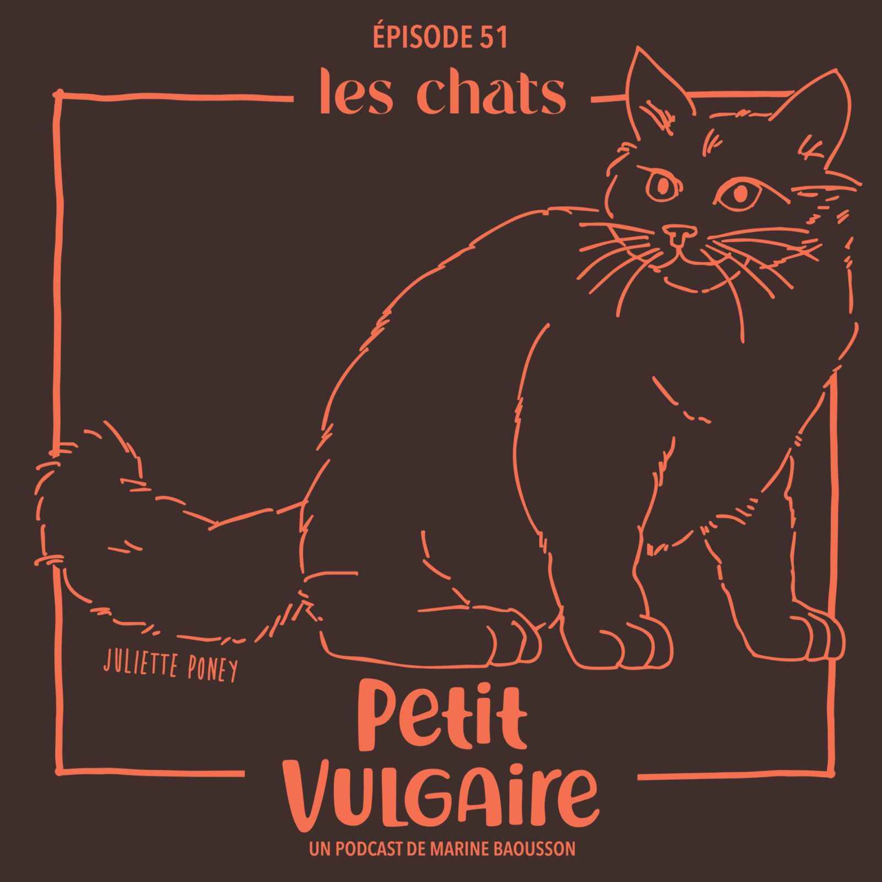 Petit Vulgaire