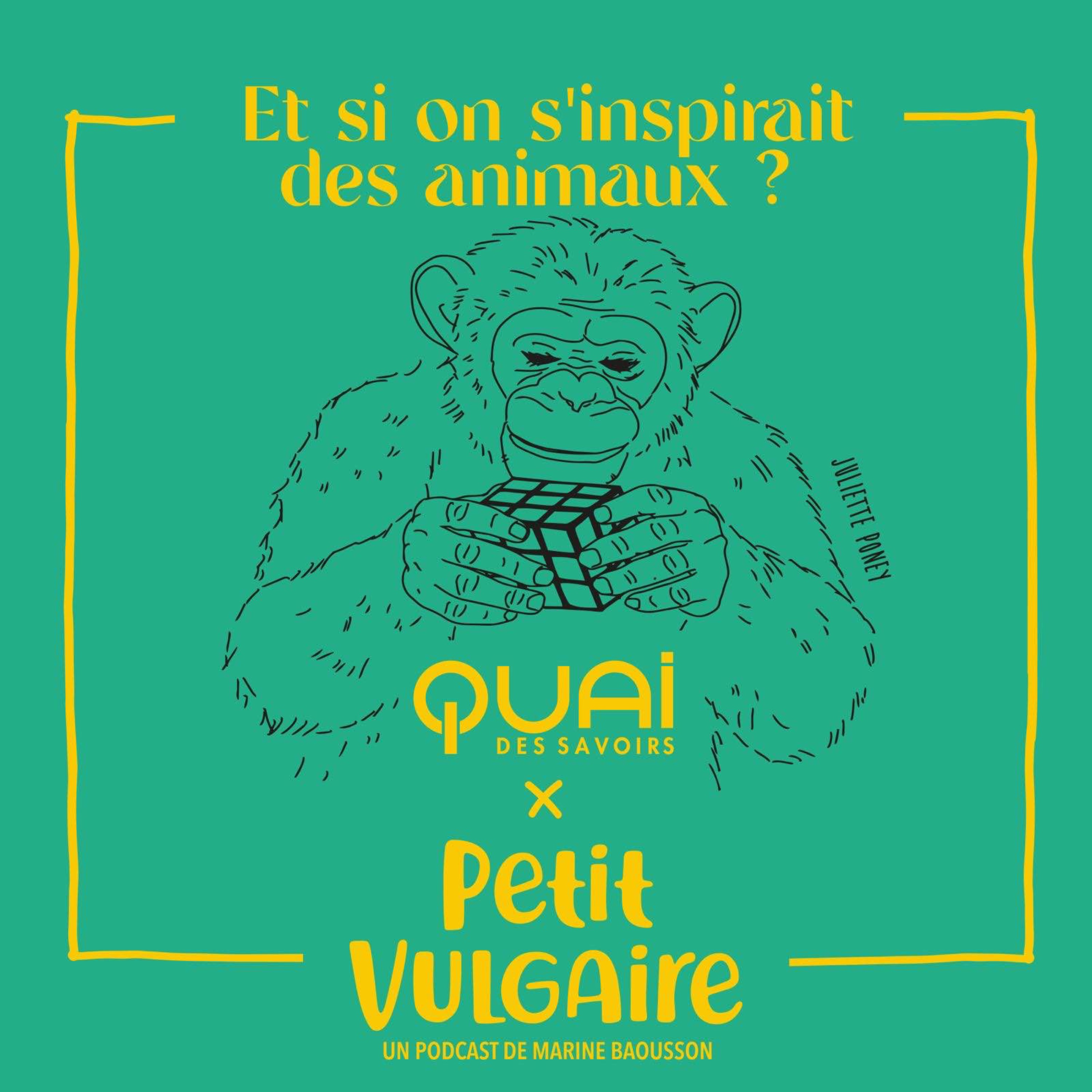 ET SI ON S'INSPIRAIT DES ANIMAUX