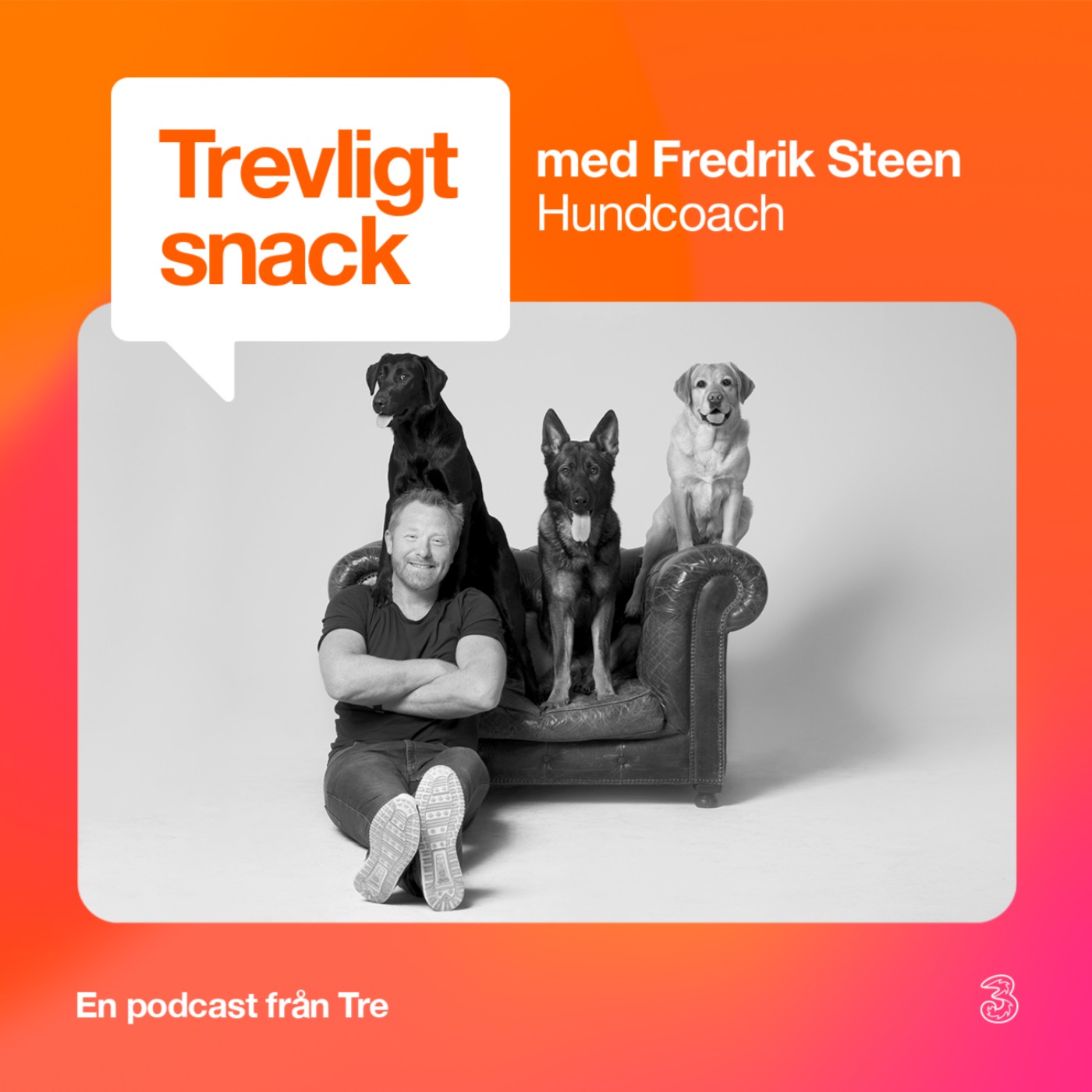 Trevligt snack