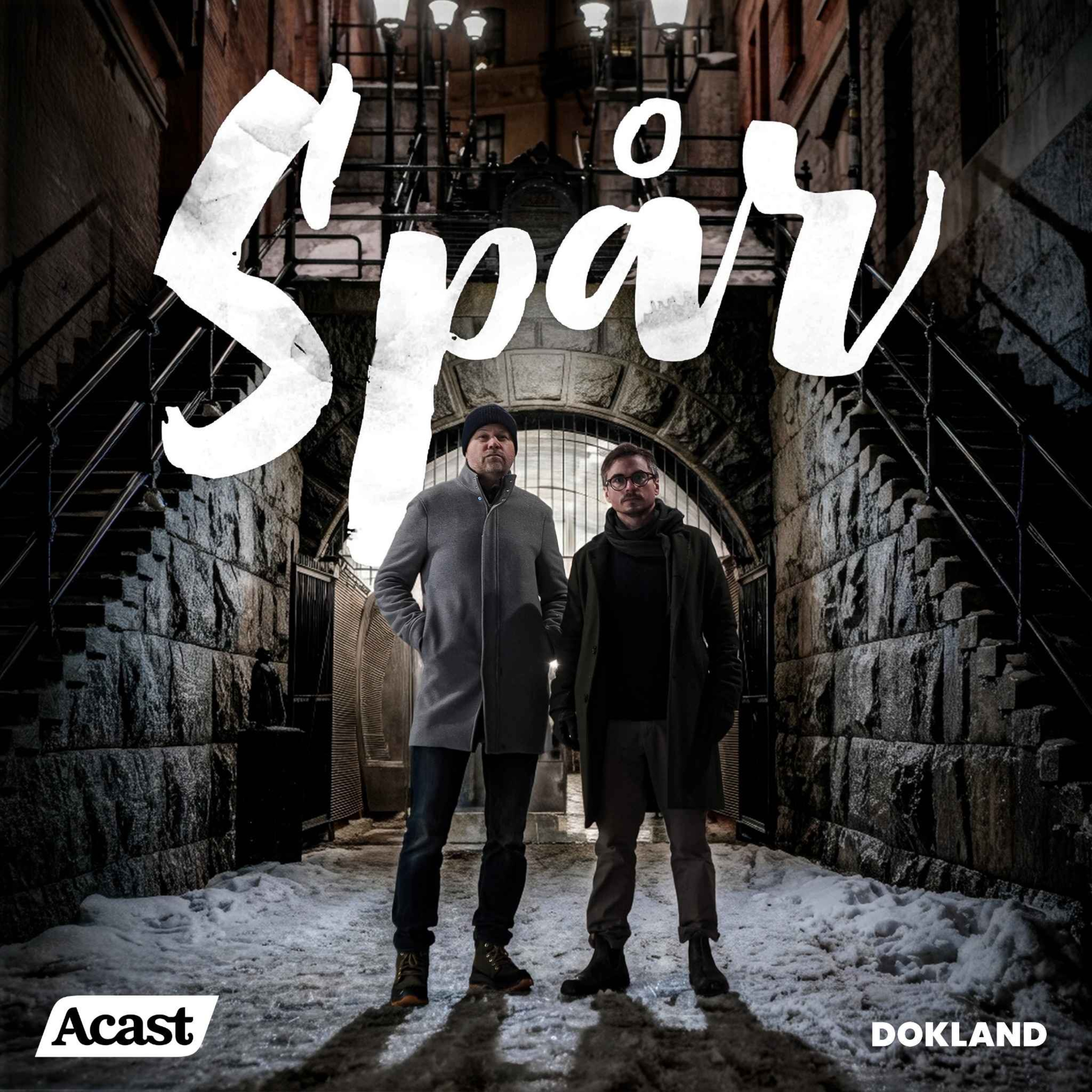 3. Palmemordet - Skandiamannen