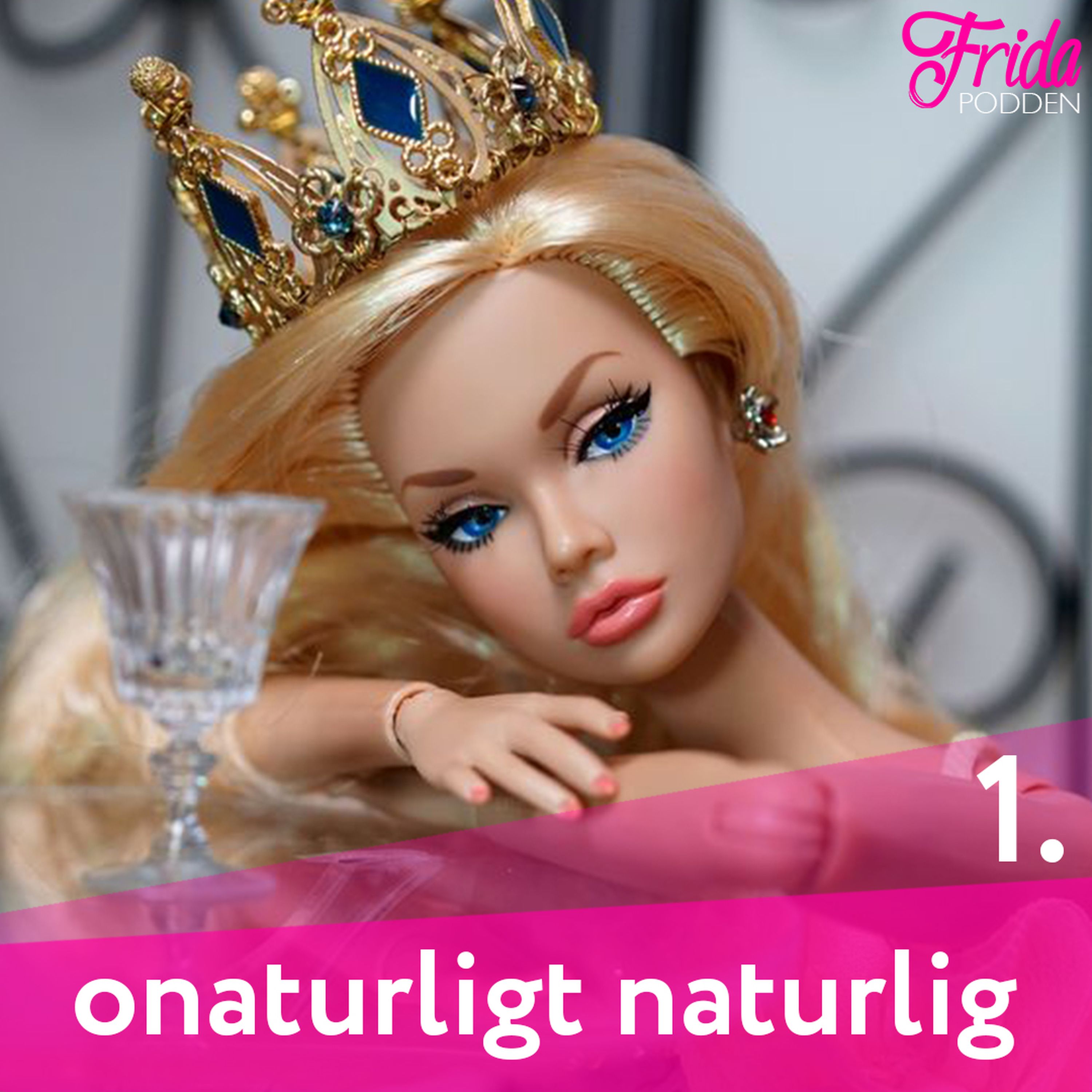 FRIDApodden