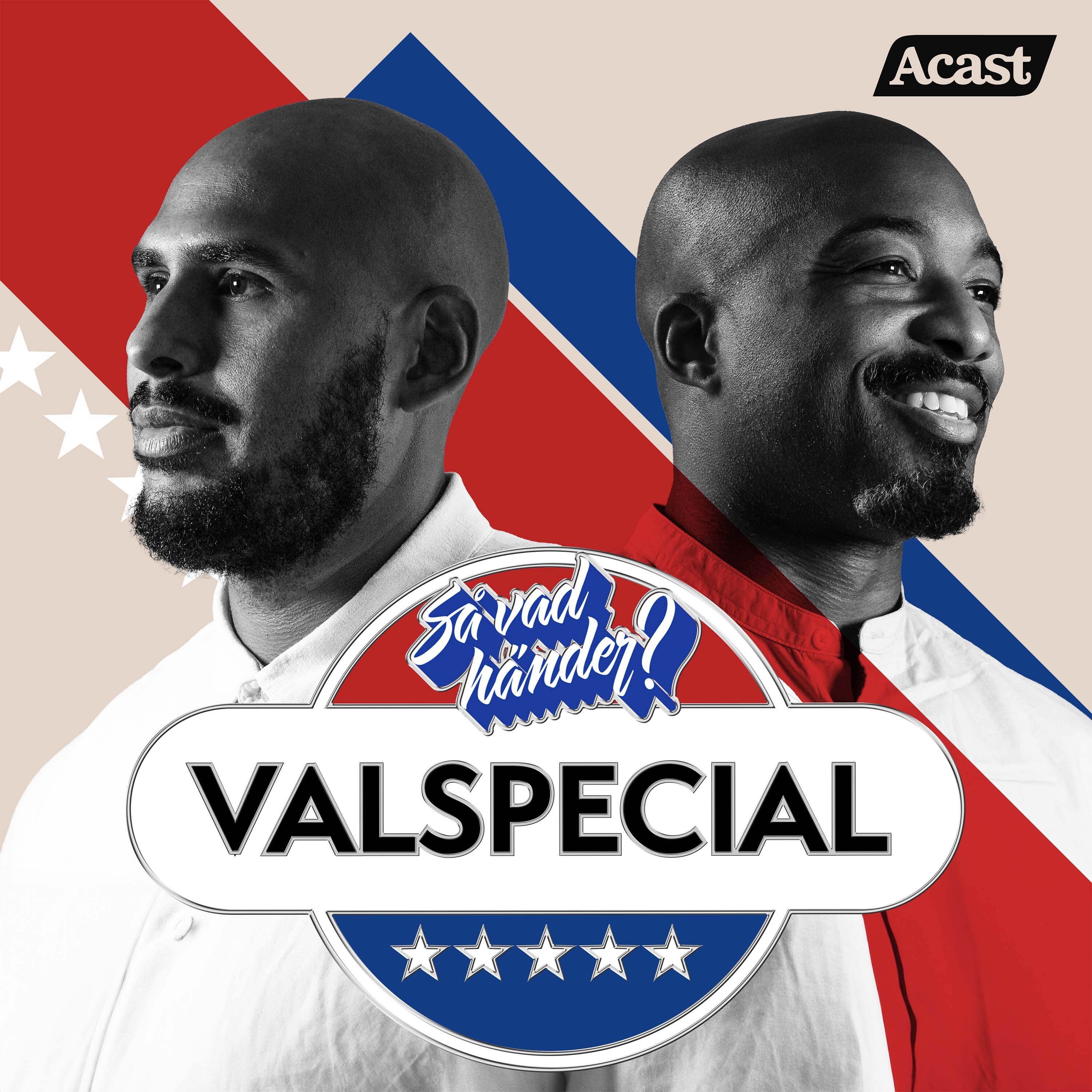 Valspecial: Hur funkar det amerikanska politiska systemet? (reklamfri!)