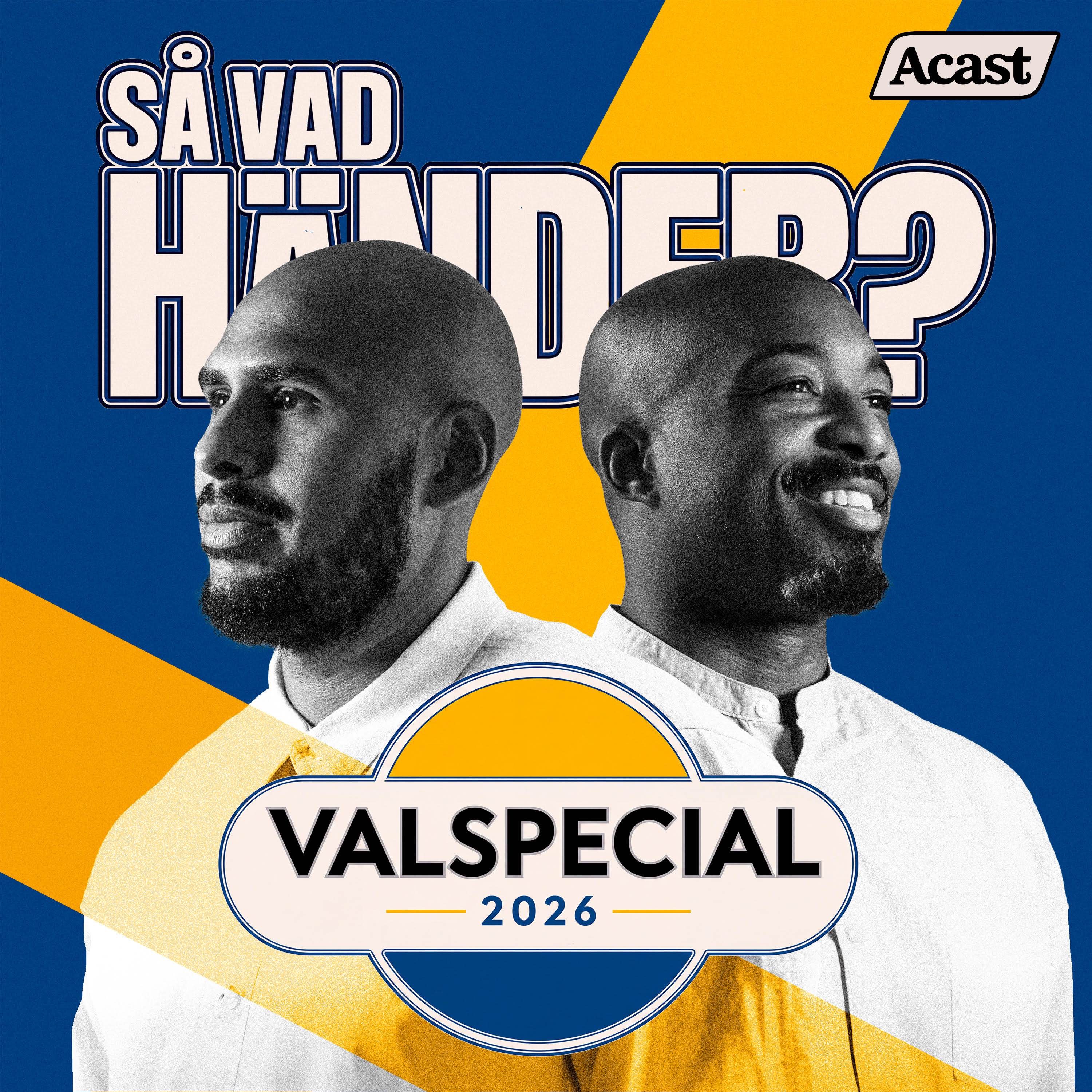 Valspecial: Hur funkar det svenska politiska systemet?