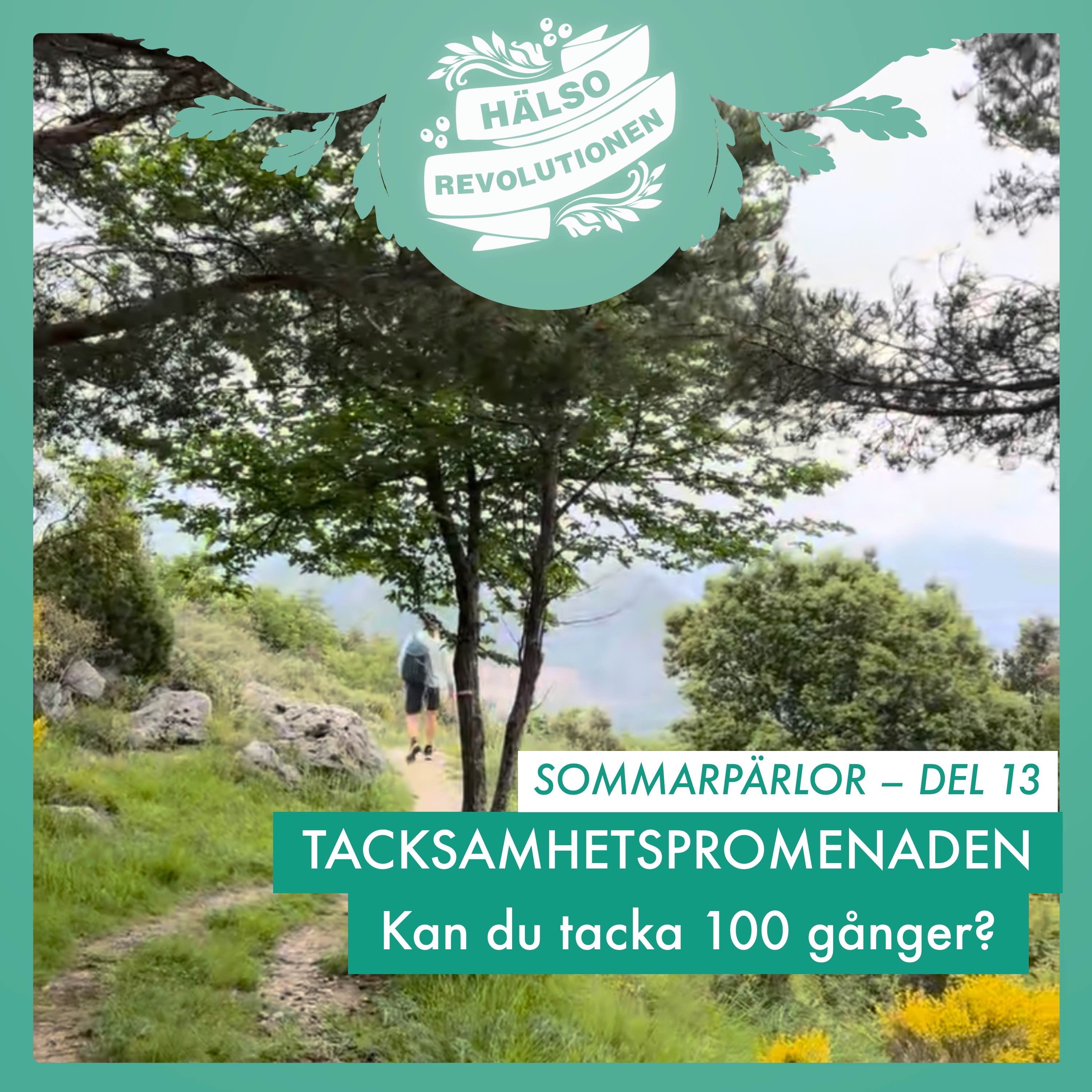 SOMMARPÄRLOR DEL 13: TACKSAMHETSPROMENADEN! KAN DU TACKA 100 GÅNGER?