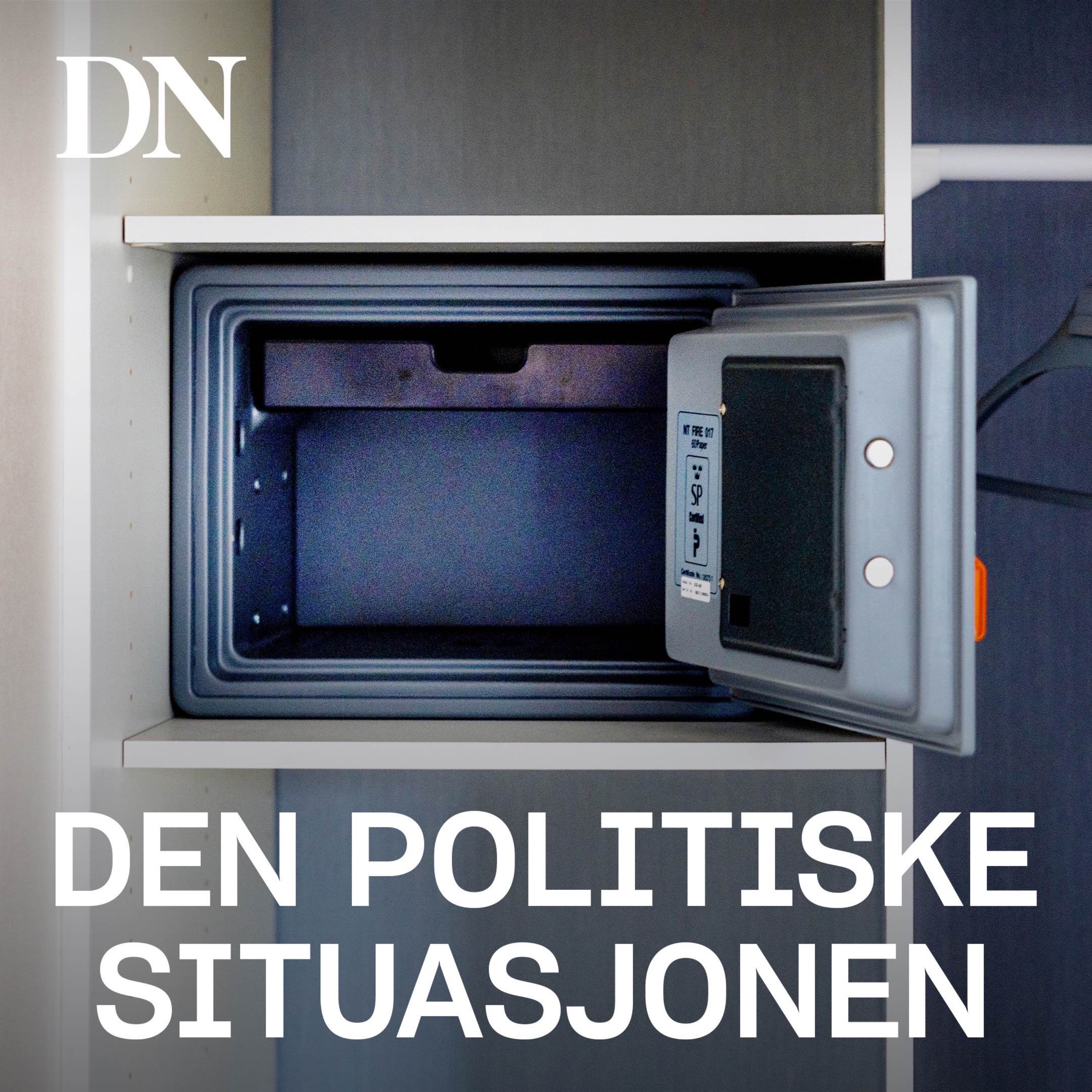 Den politiske situasjonen
