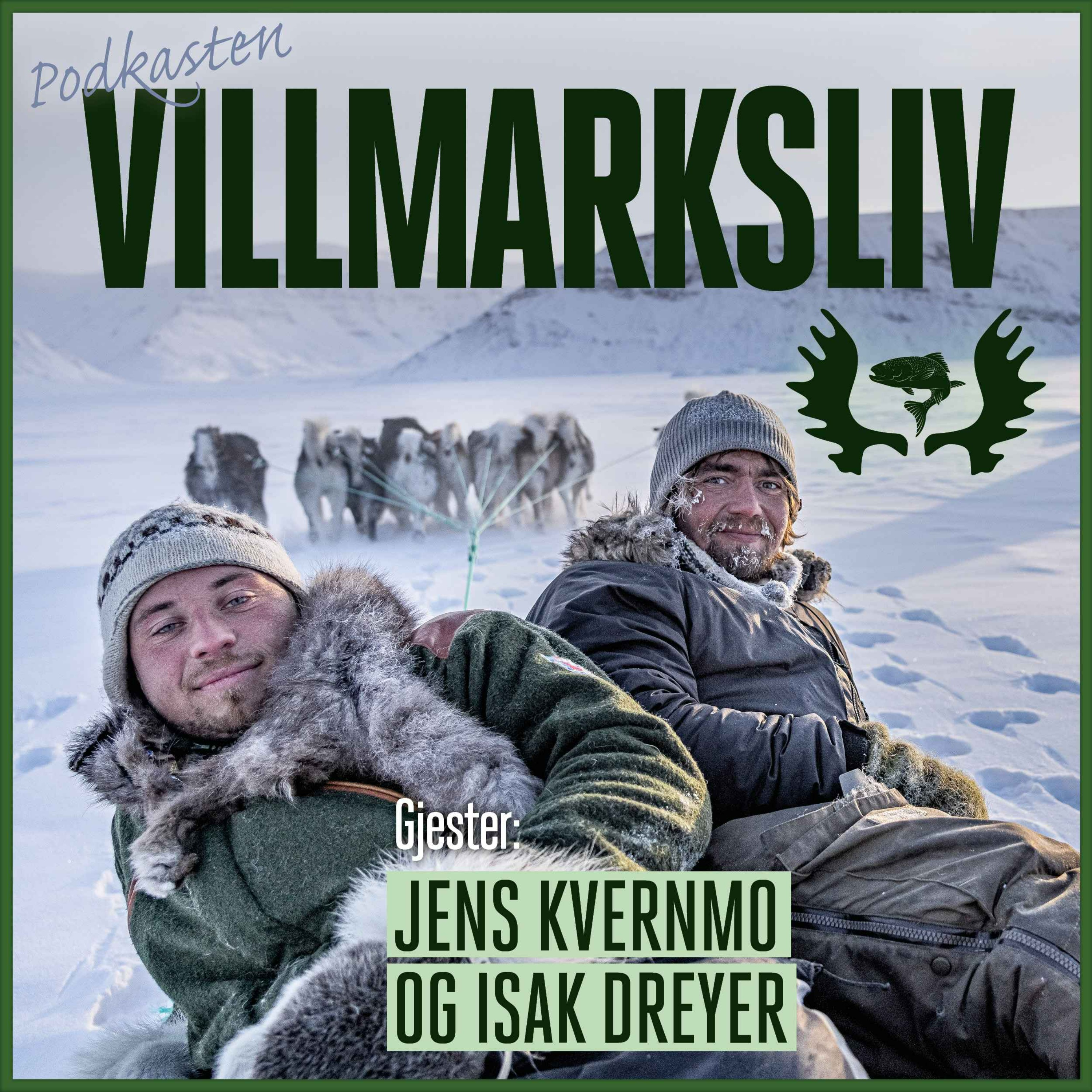 cover art for Jens Kvernmo og Isak Dreyer: En eventyrlig reise til Grønlands villmark
