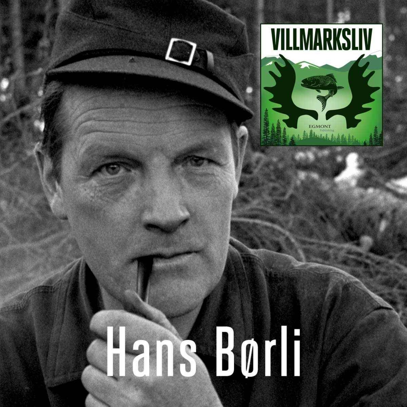 cover art for Hans Børli - skogens dikter