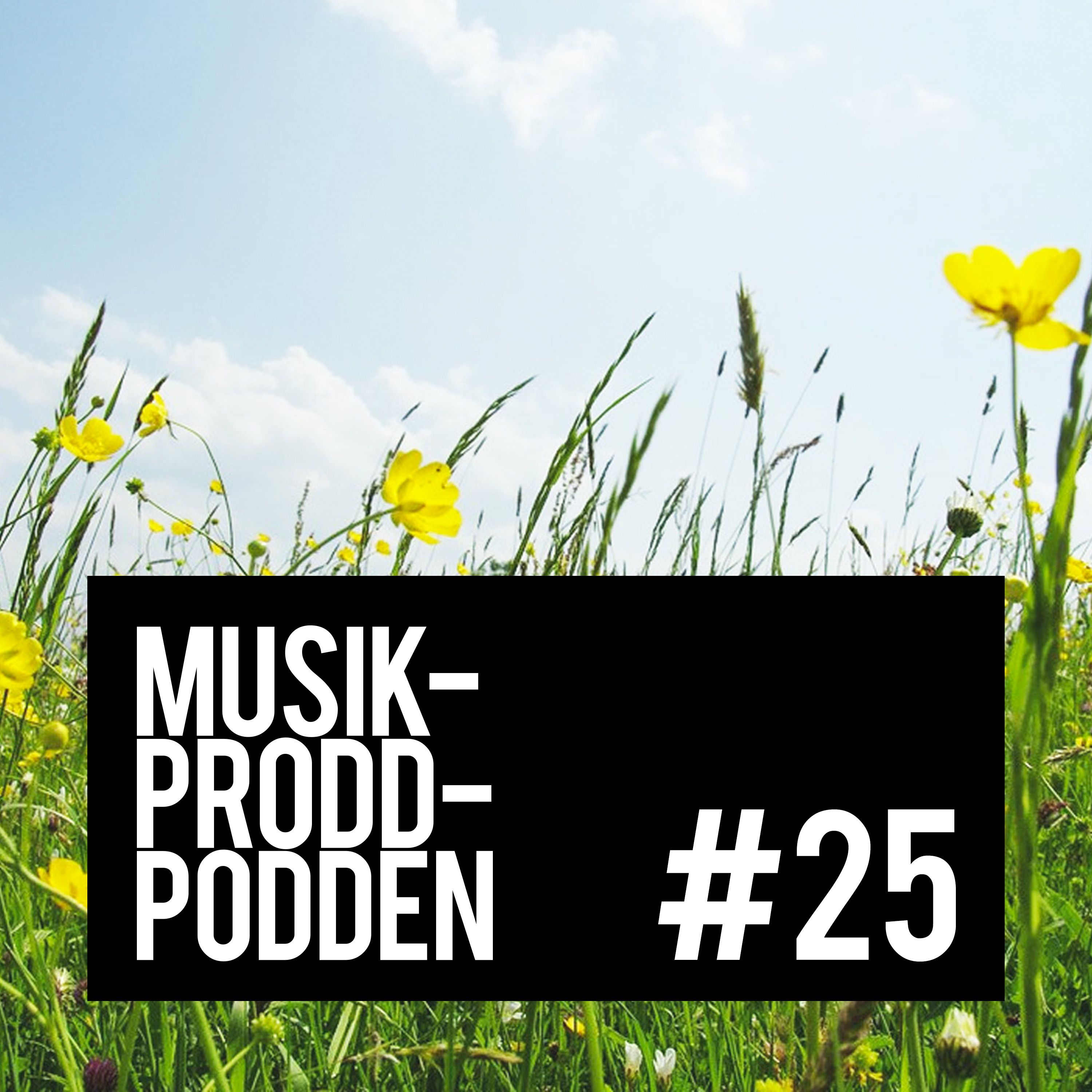Musikprodd-podden