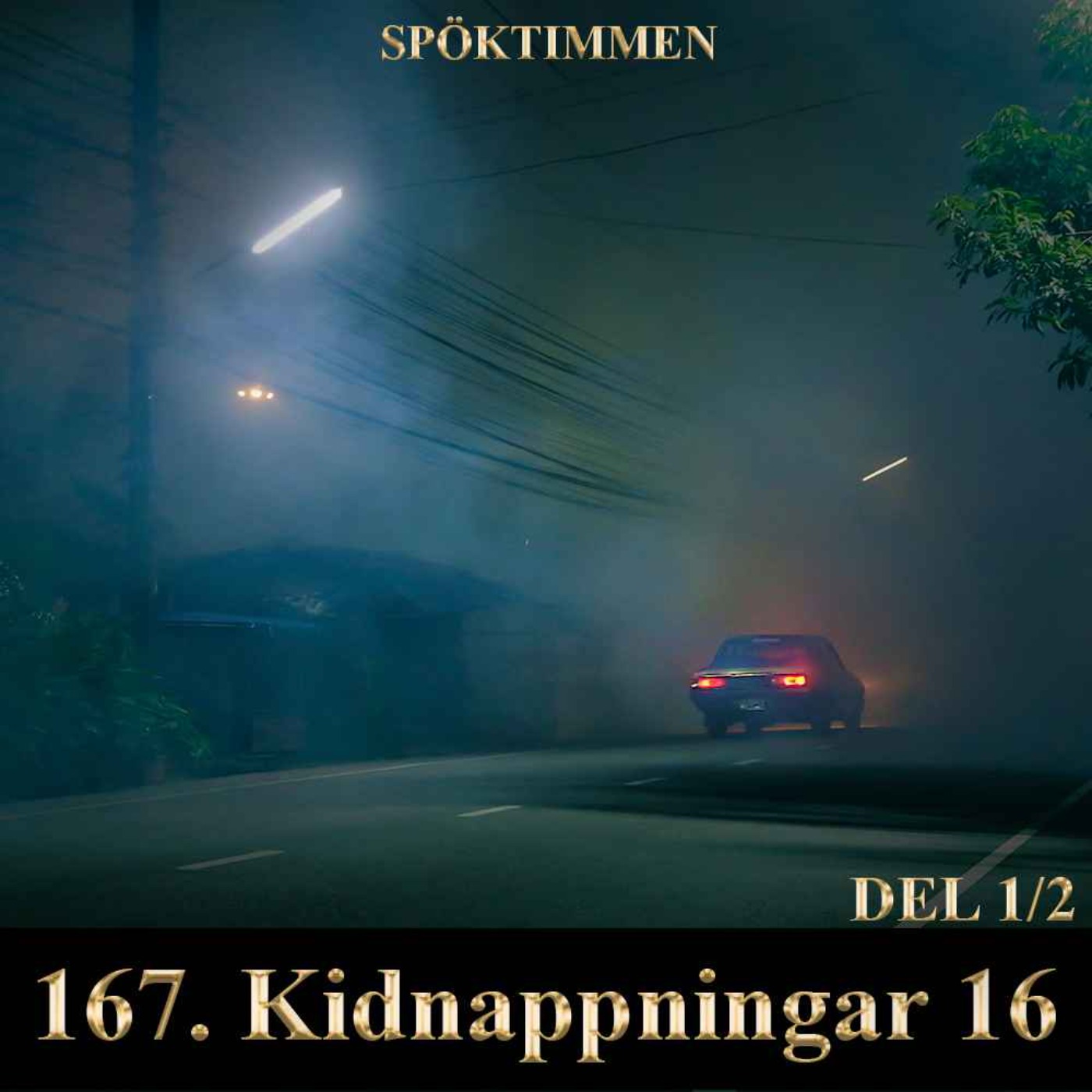 Kidnappningar 16 – Del 1