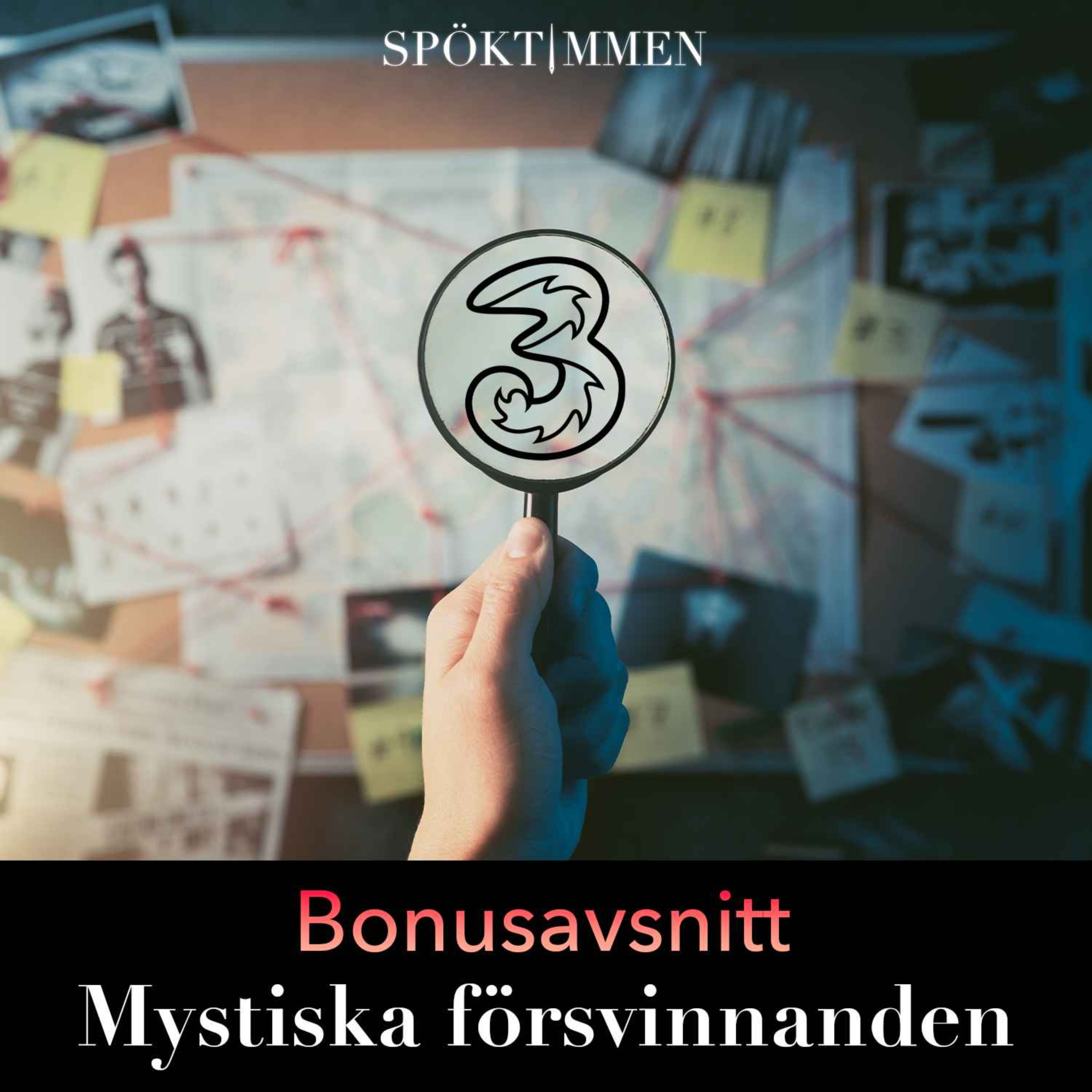 cover art for BONUS: Mystiska försvinnanden 8
