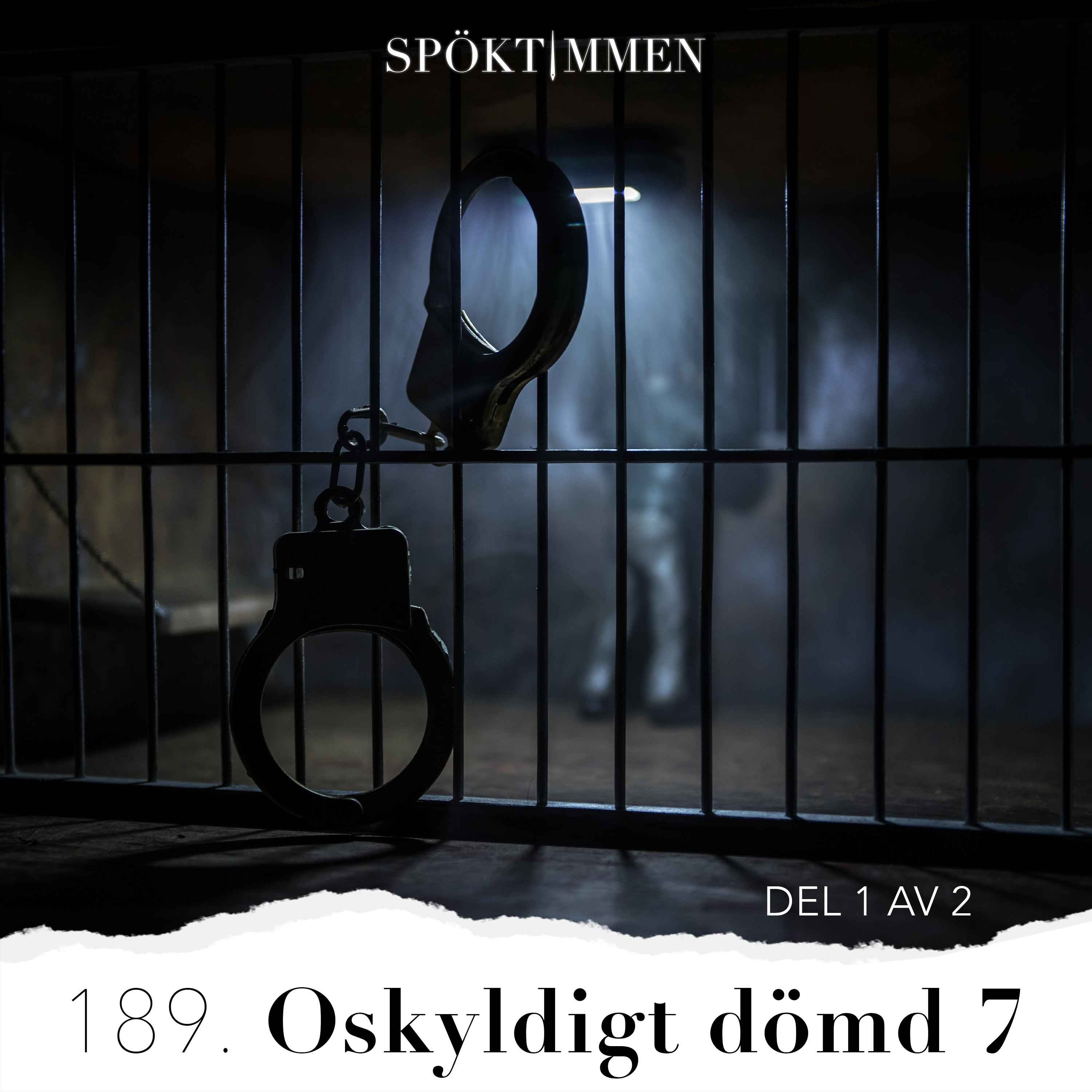 Oskyldigt dömd 7 – Del 1 av 2