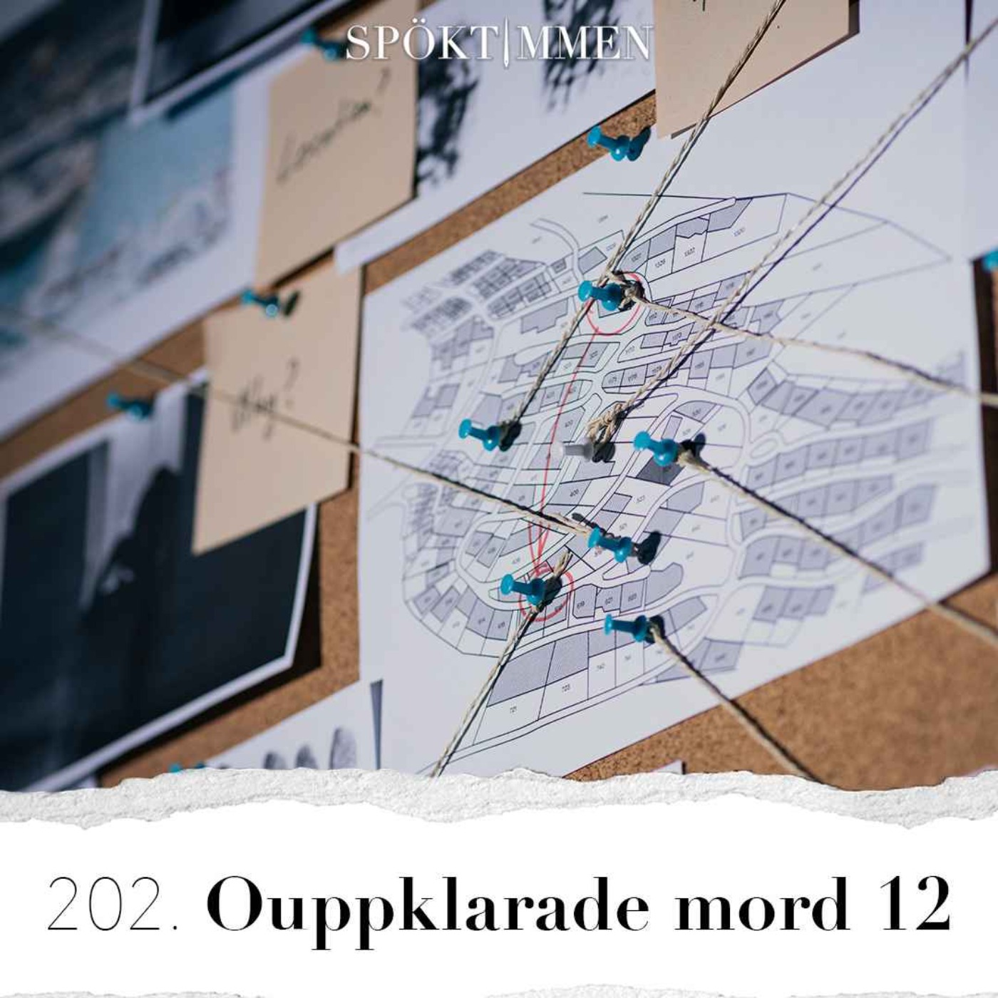 202. Ouppklarade mord 12