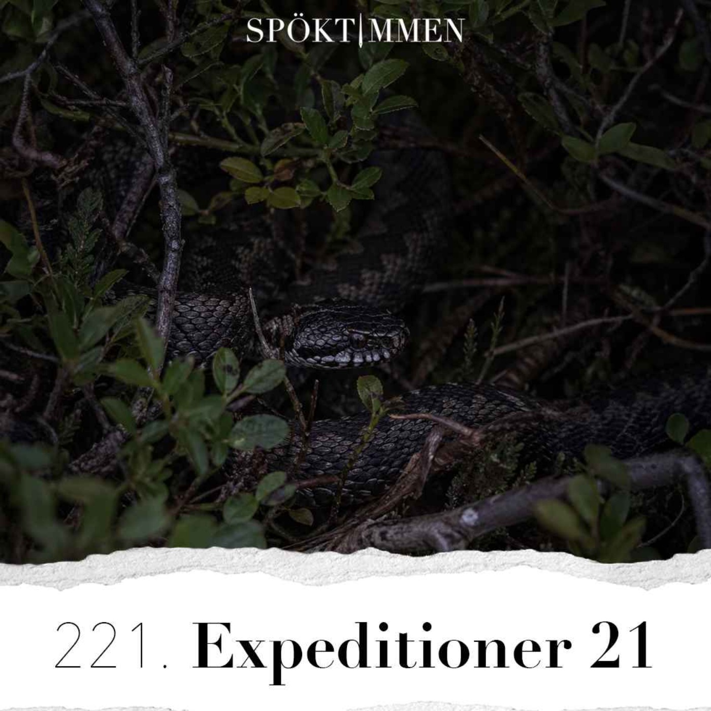 221. Expeditioner 21
