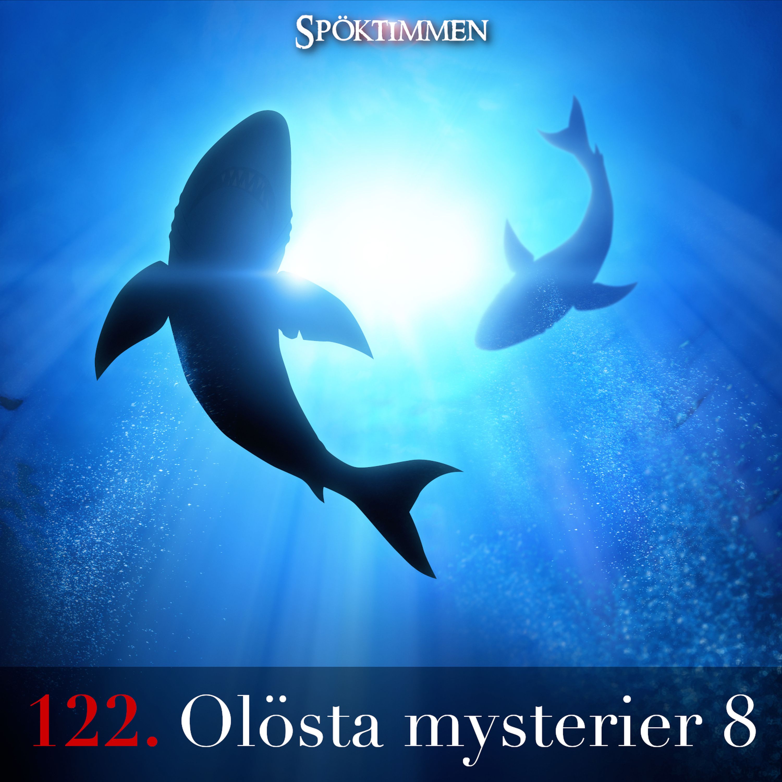 122. Olösta mysterier 8