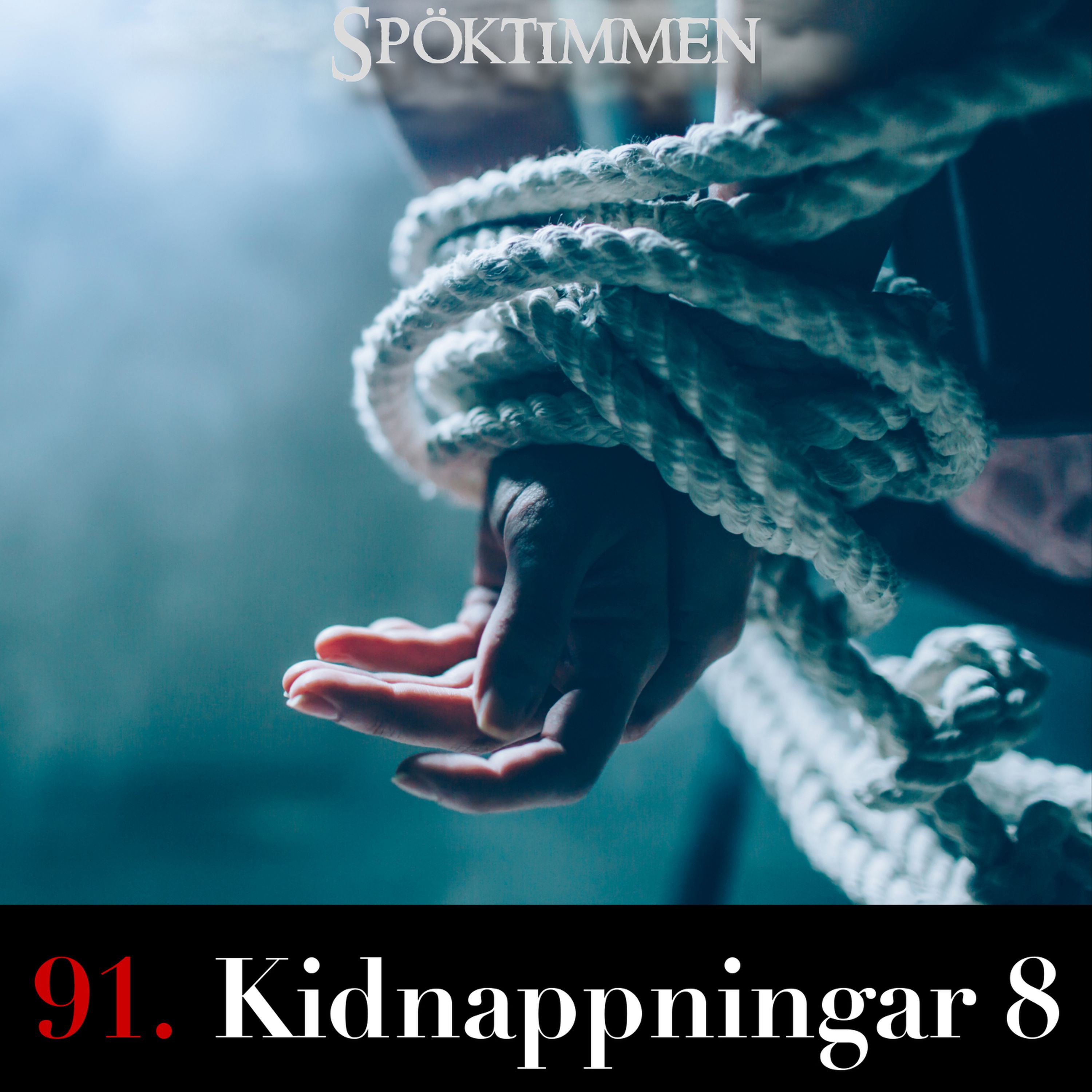 91. Kidnappningar 8