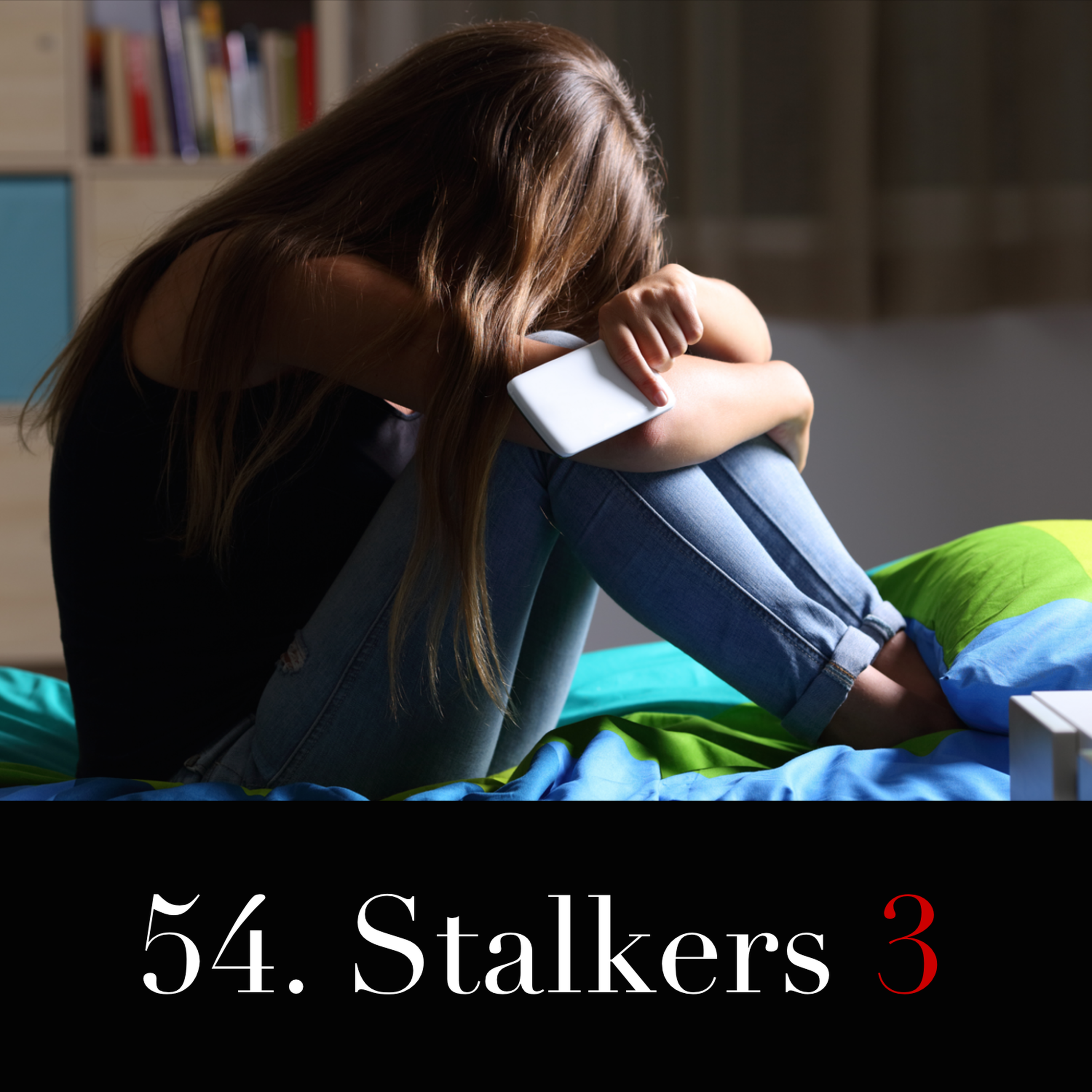 54. Stalkers 3