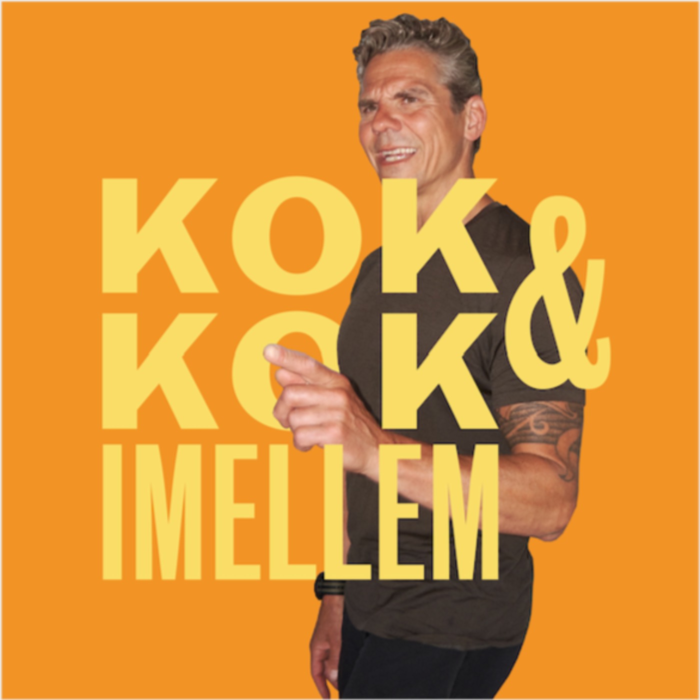 cover art for Kok og Kok imellem - Rene Mammen